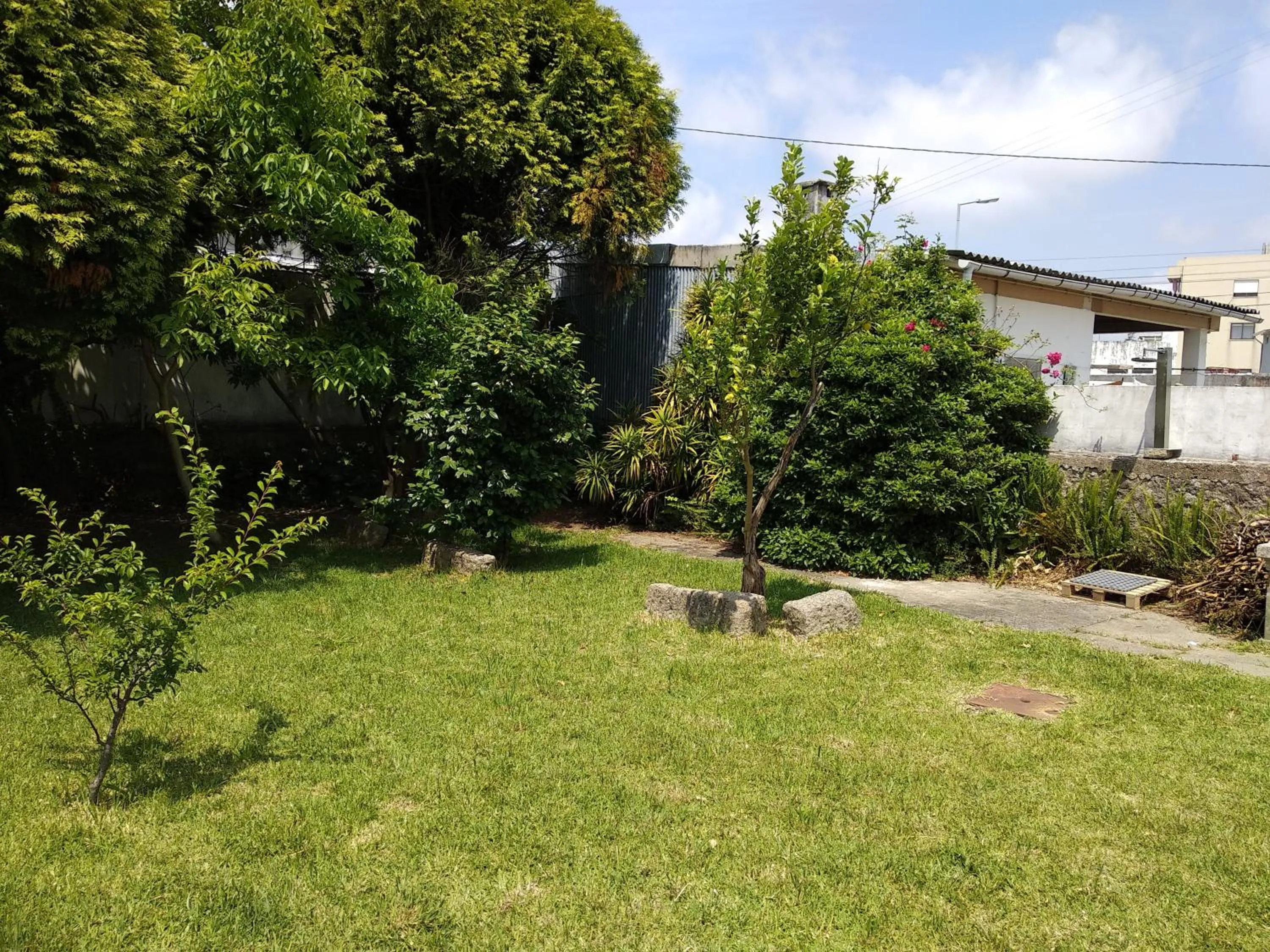 Garden view in AirPorto Hostel