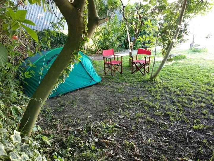 Garden in AirPorto Hostel