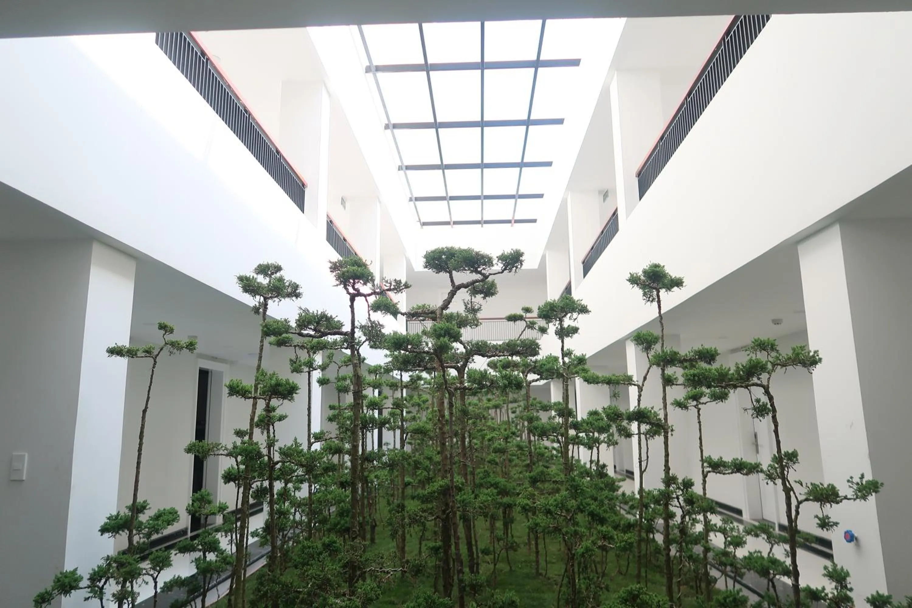 Garco Dragon Hotel 2