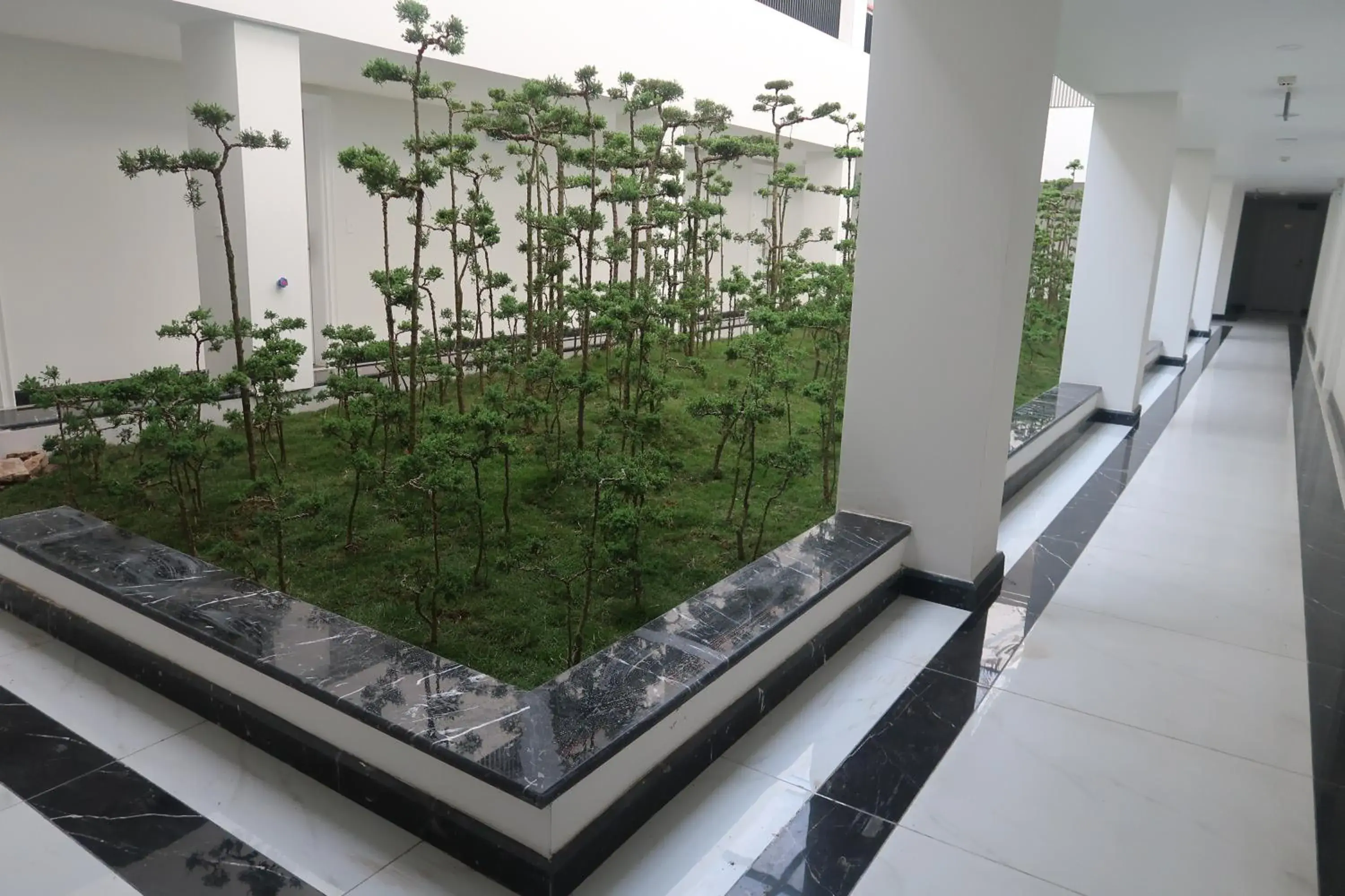 King Suite in Garco Dragon Hotel 2 King Suite in Garco Dragon Hotel 2