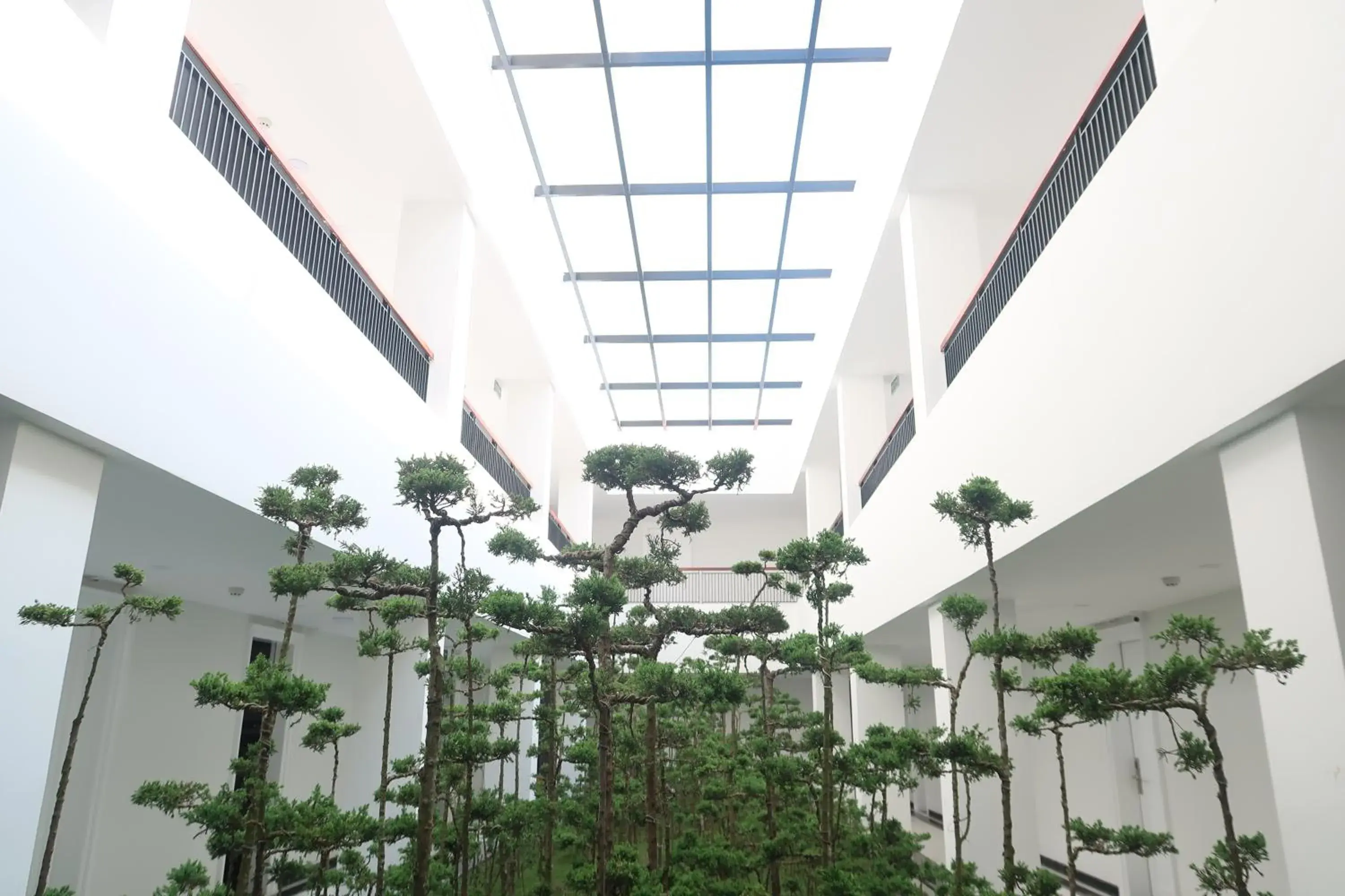 Superior Double Room in Garco Dragon Hotel 2 Superior Double Room in Garco Dragon Hotel 2