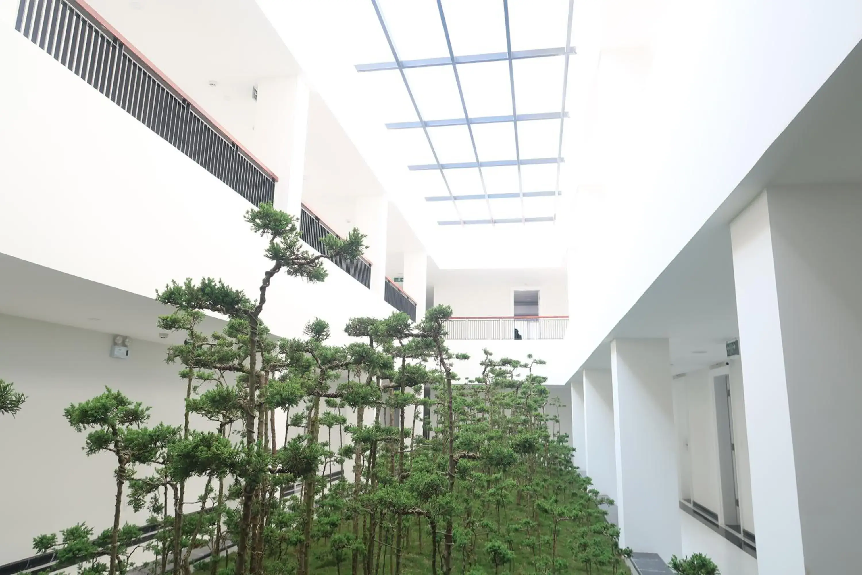 Deluxe Double Room in Garco Dragon Hotel 2 Deluxe Double Room in Garco Dragon Hotel 2