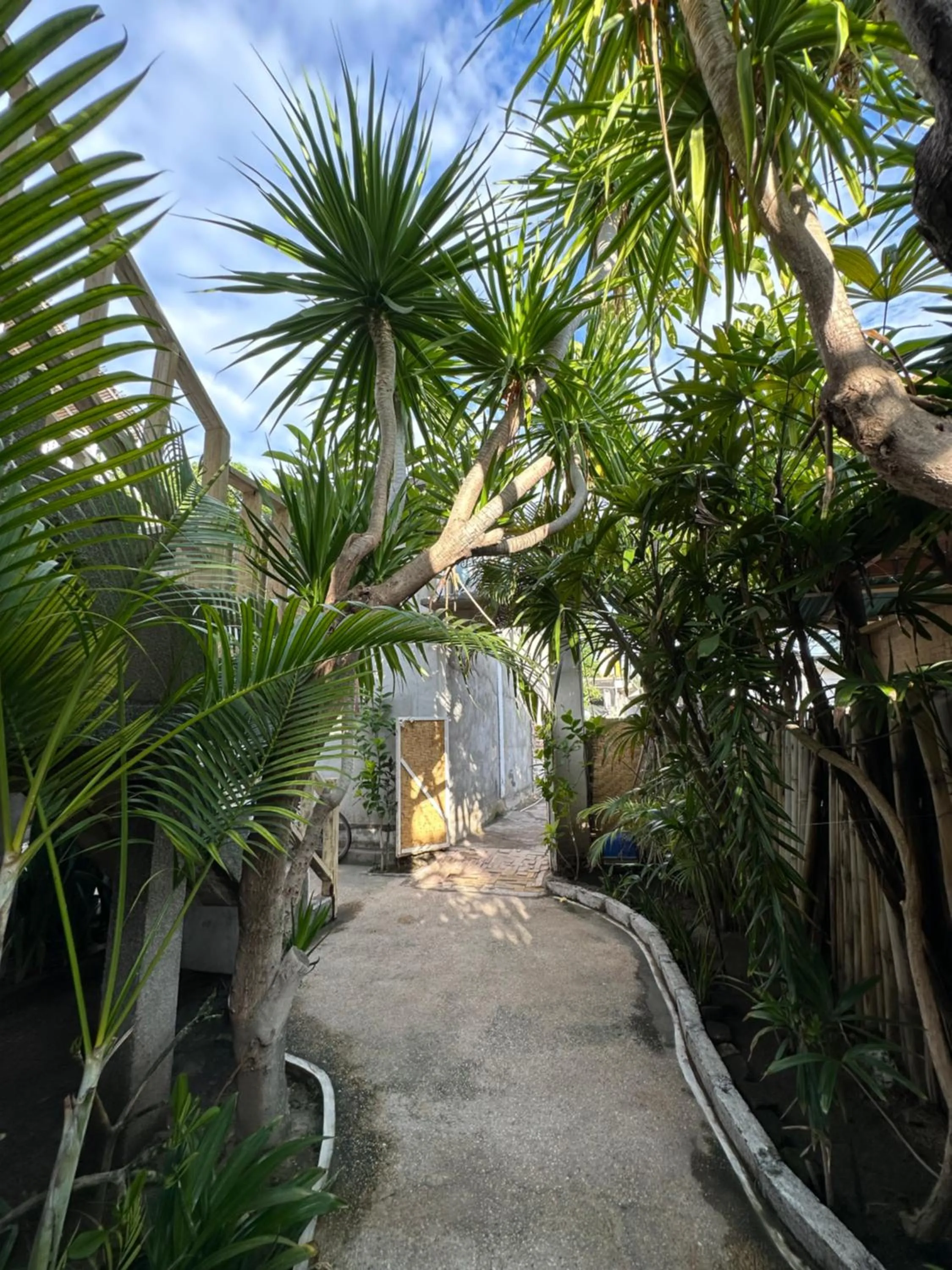 Garden view in James Bungalow