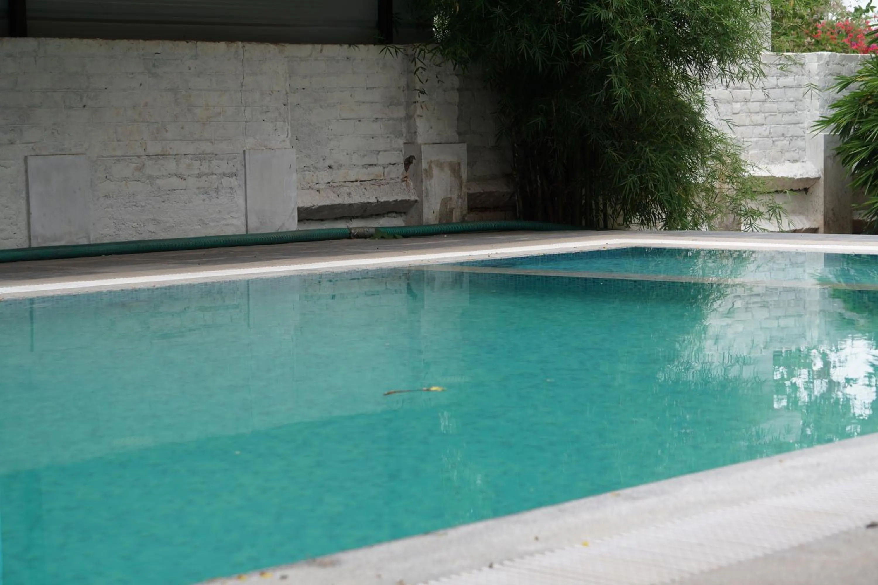 Pool view in Prince Park