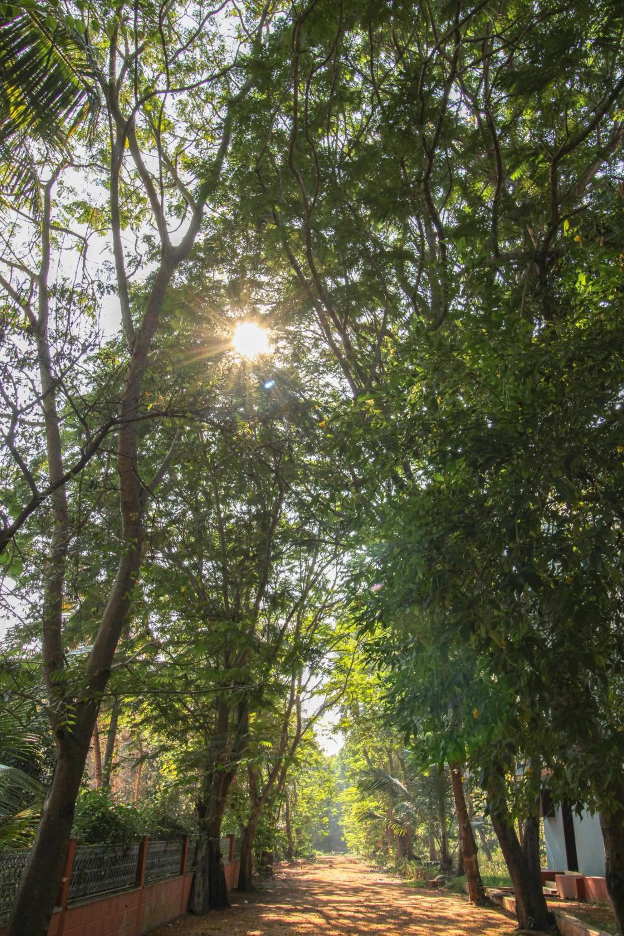 Garden view in Prince Park
