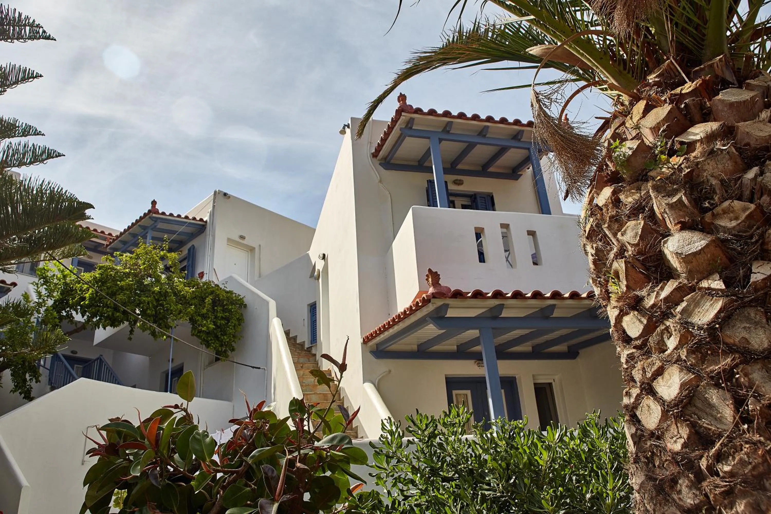 Bird's eye view in Irene Studios