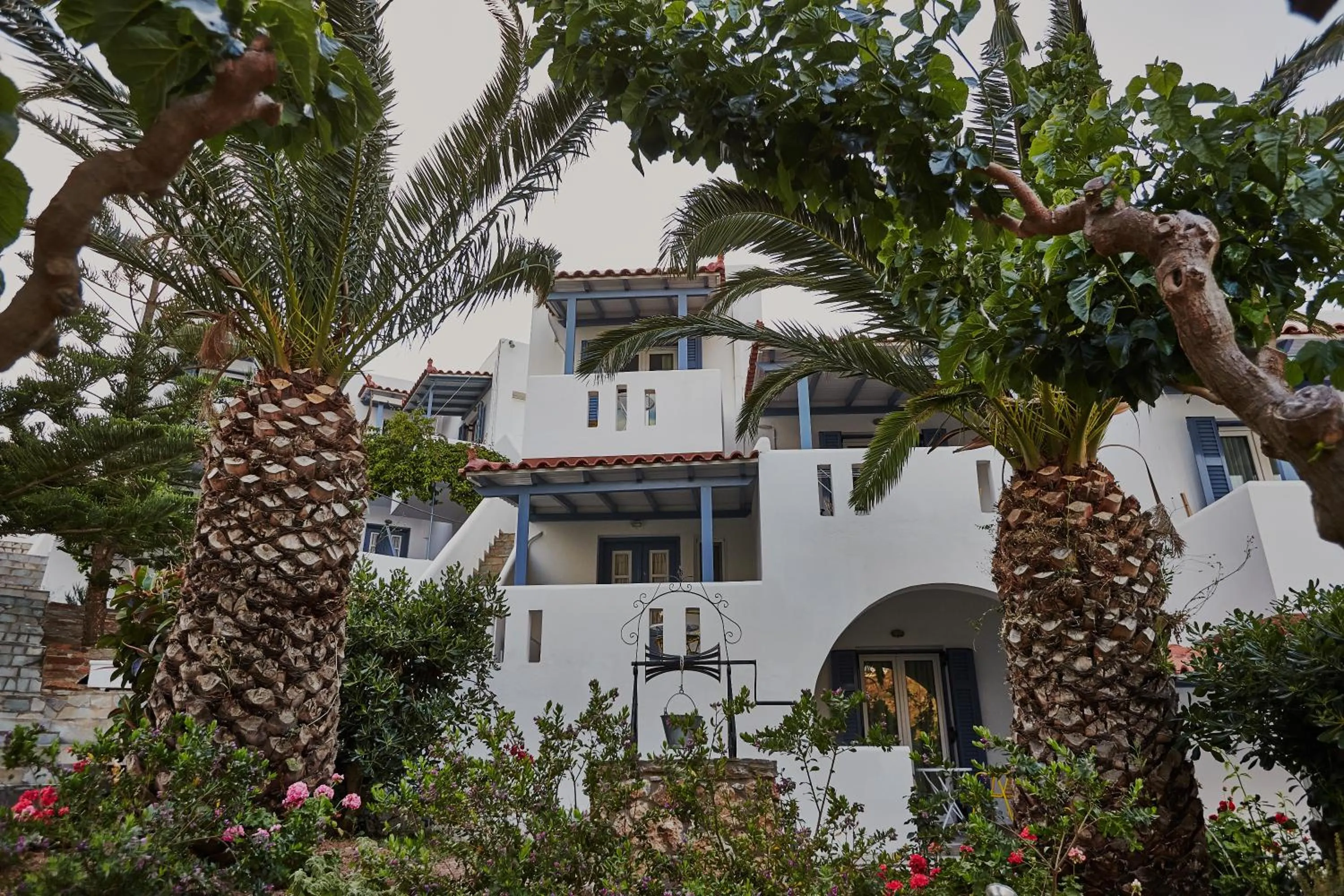 Garden in Irene Studios