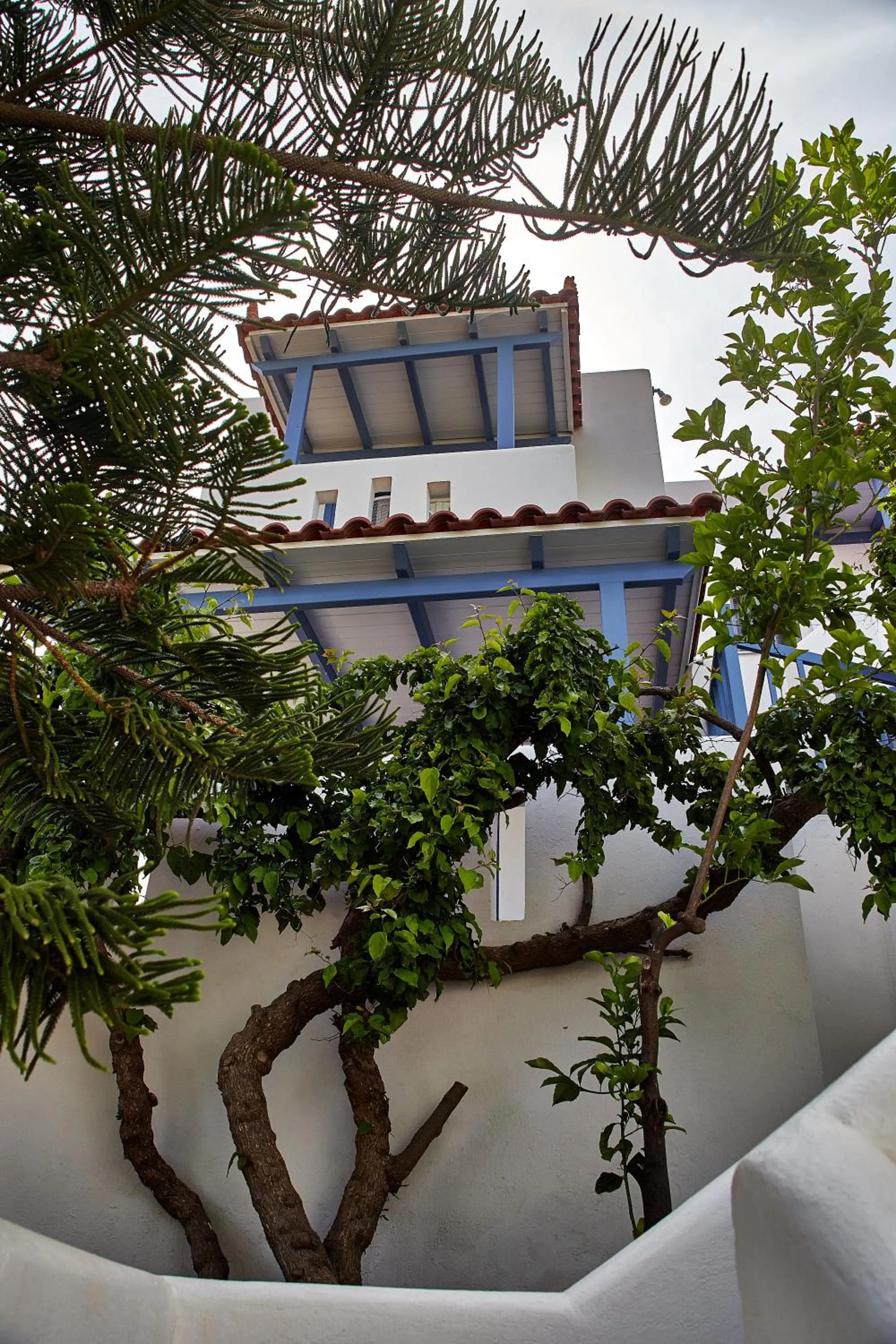 Day in Irene Studios