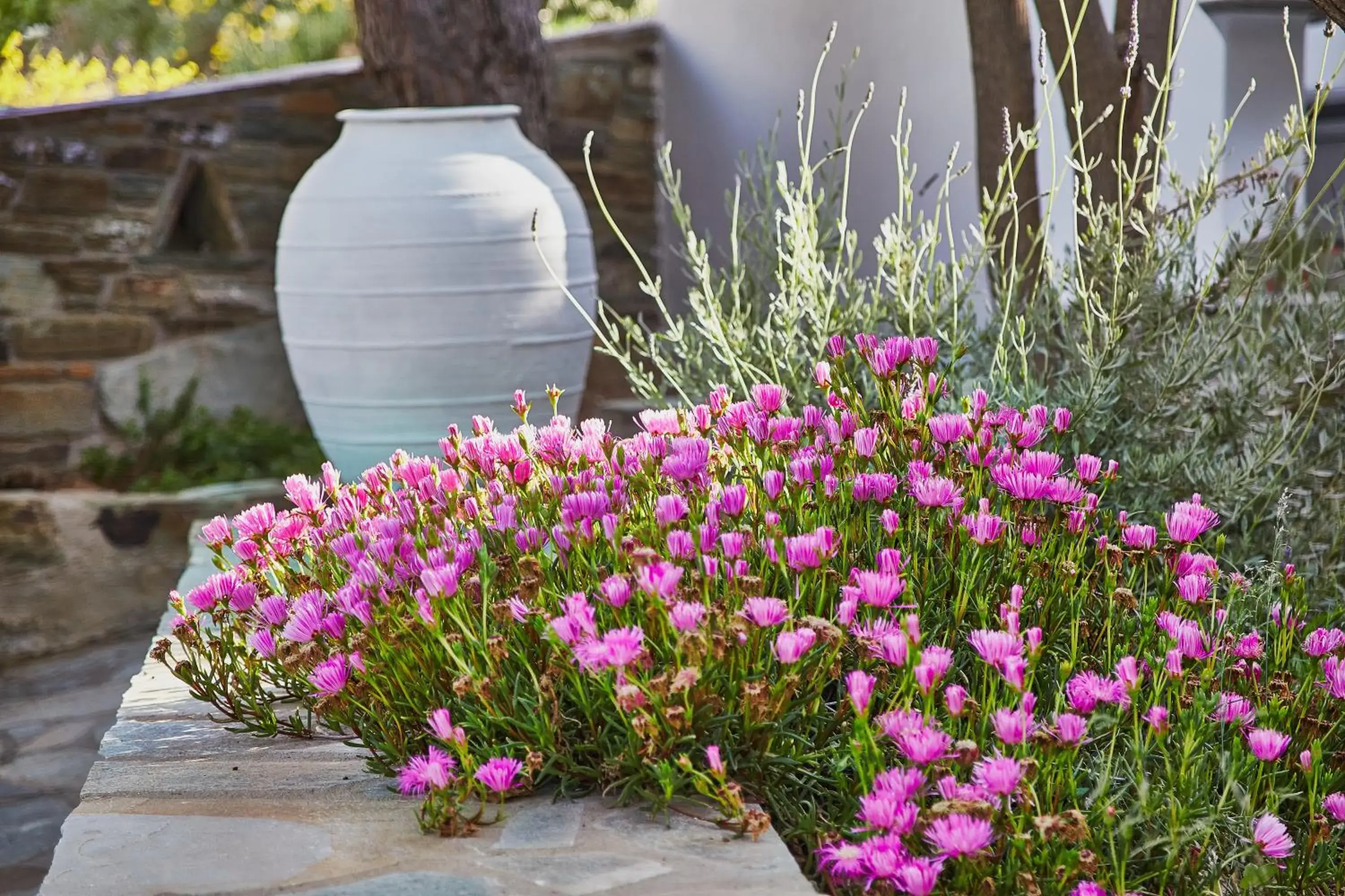 Deluxe Studio in Irene Studios Deluxe Studio in Irene Studios