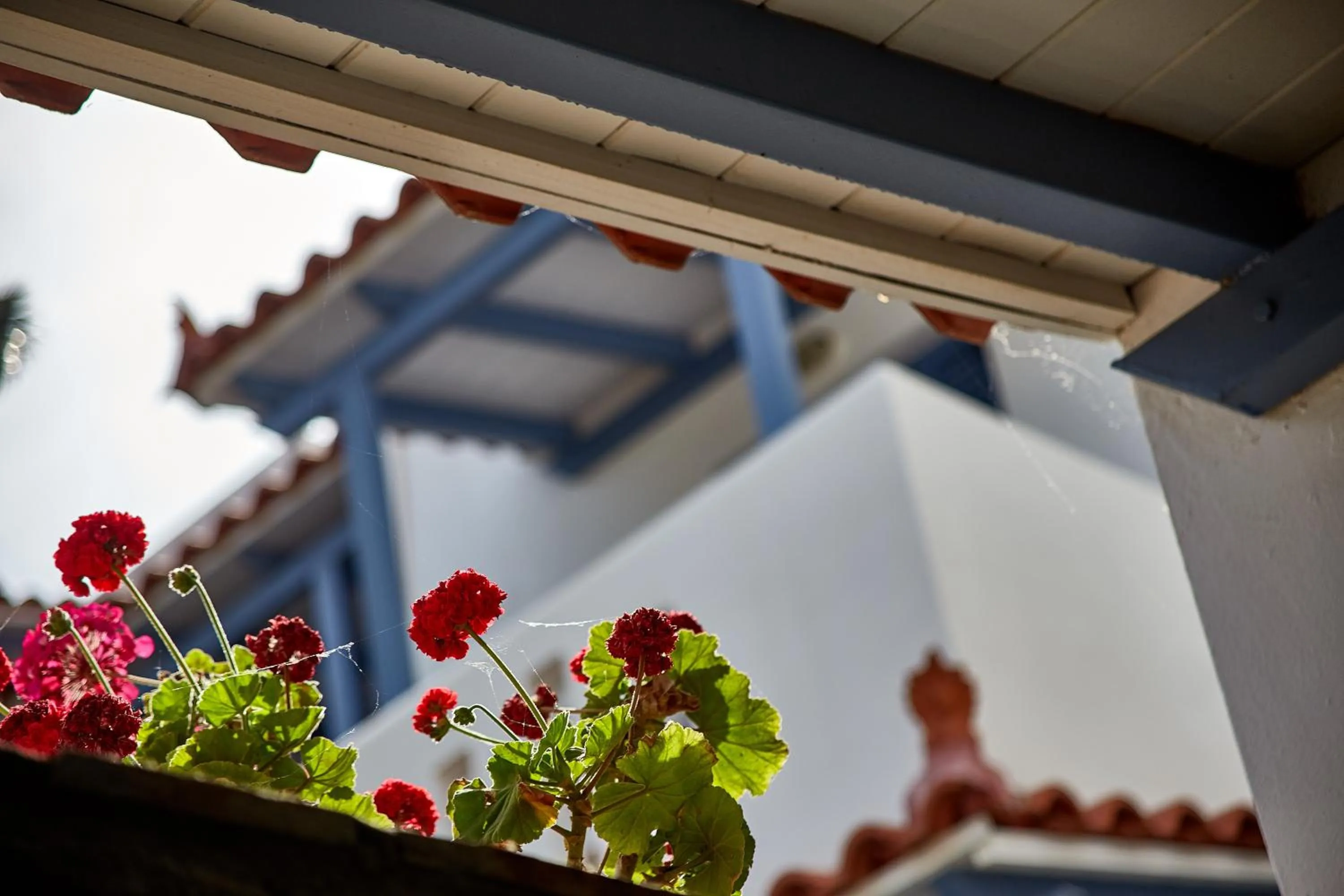 Balcony/Terrace in Irene Studios
