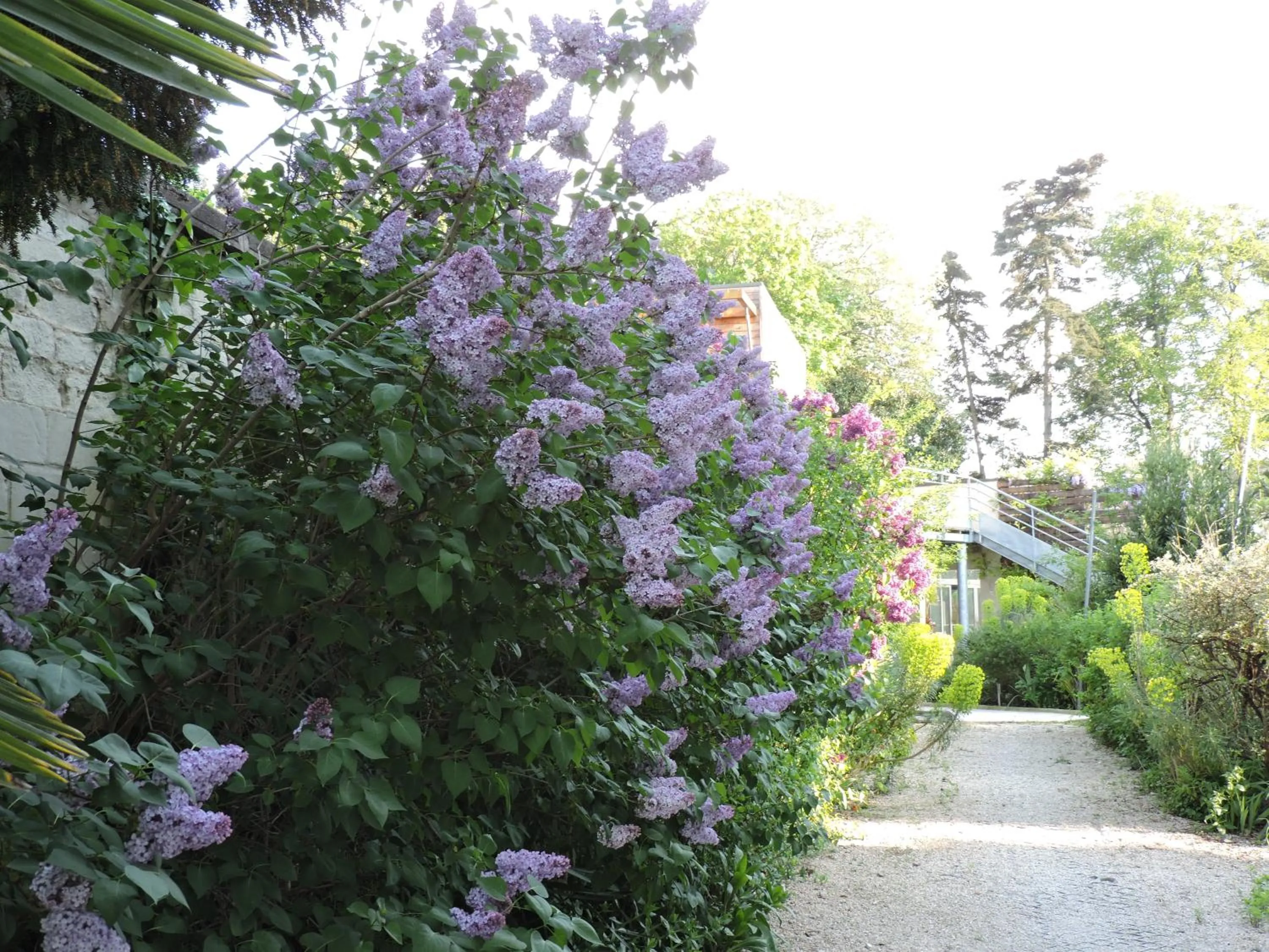 Property building in La Gourmandine