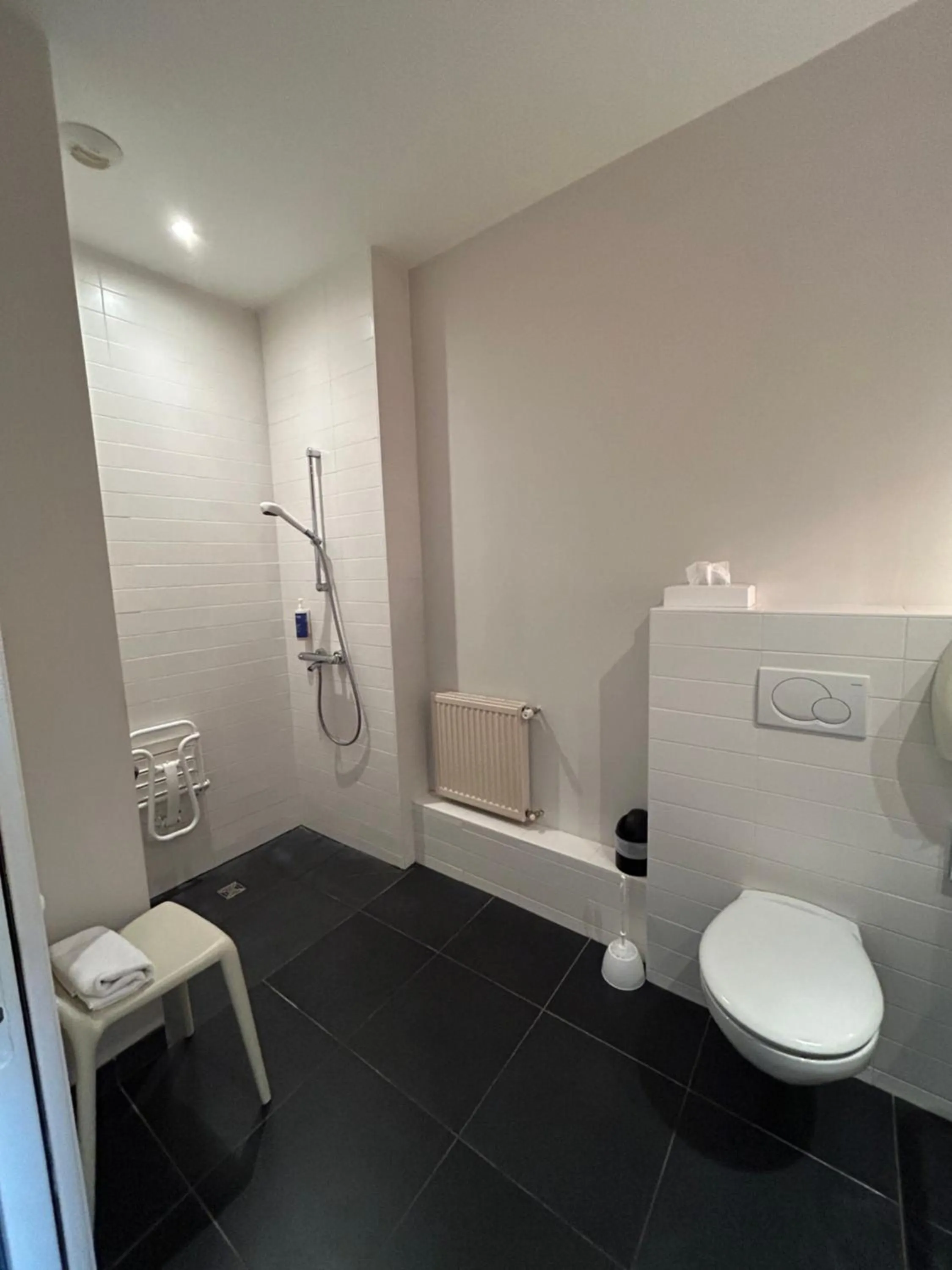 Facility for disabled guests in Hôtel De La Vallée