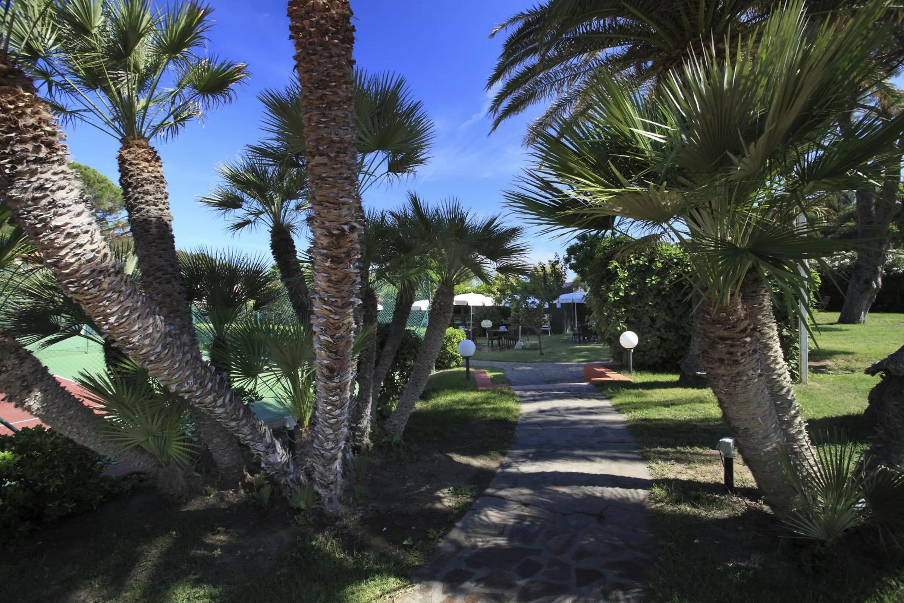 Garden in Hotel Desiree