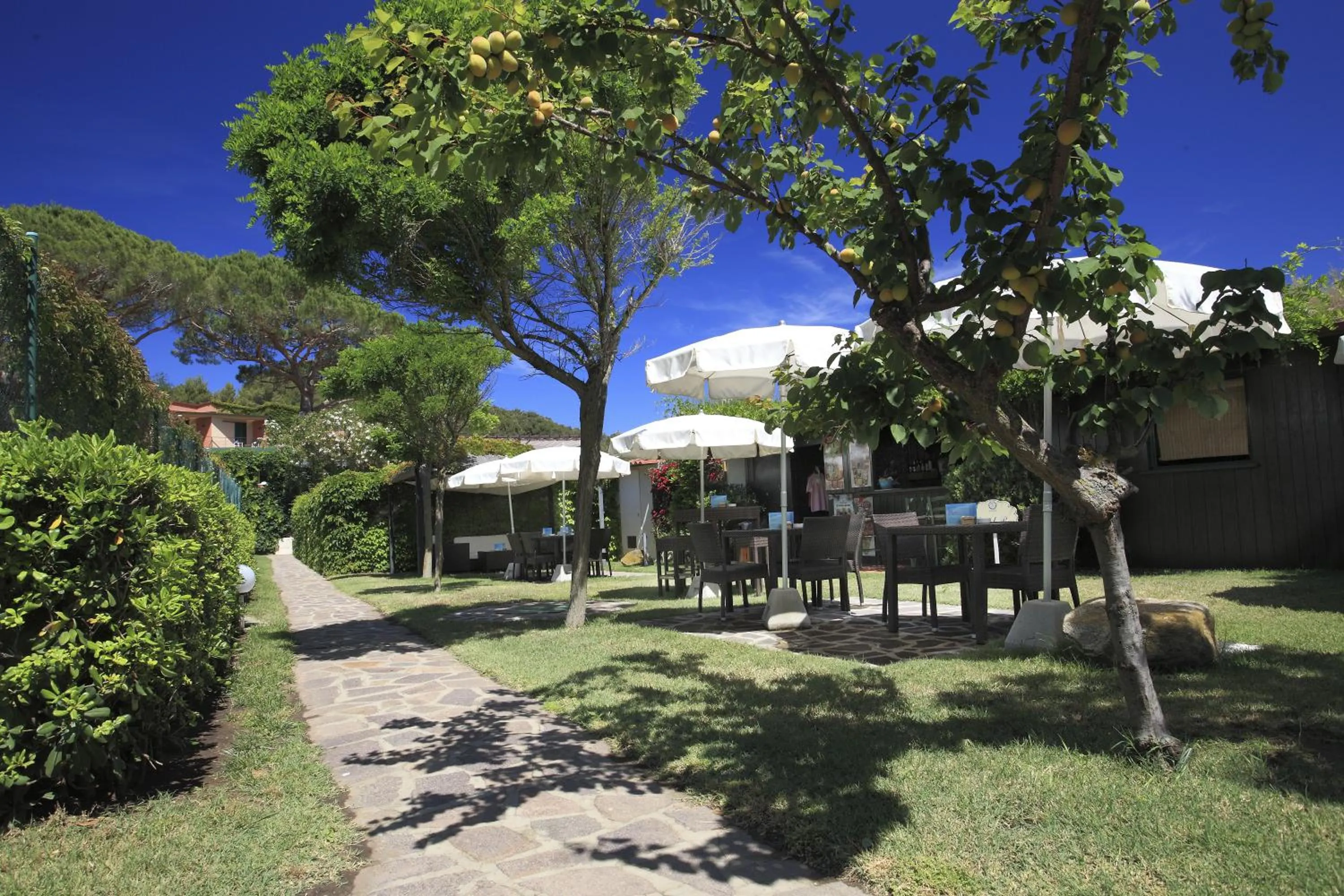 Patio in Hotel Desiree