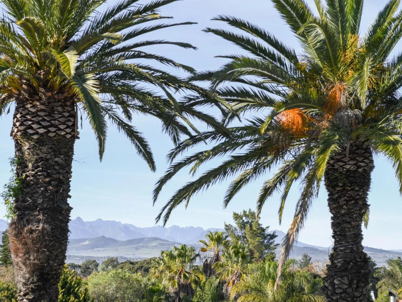 Mountain view in Four Palms Accommodation