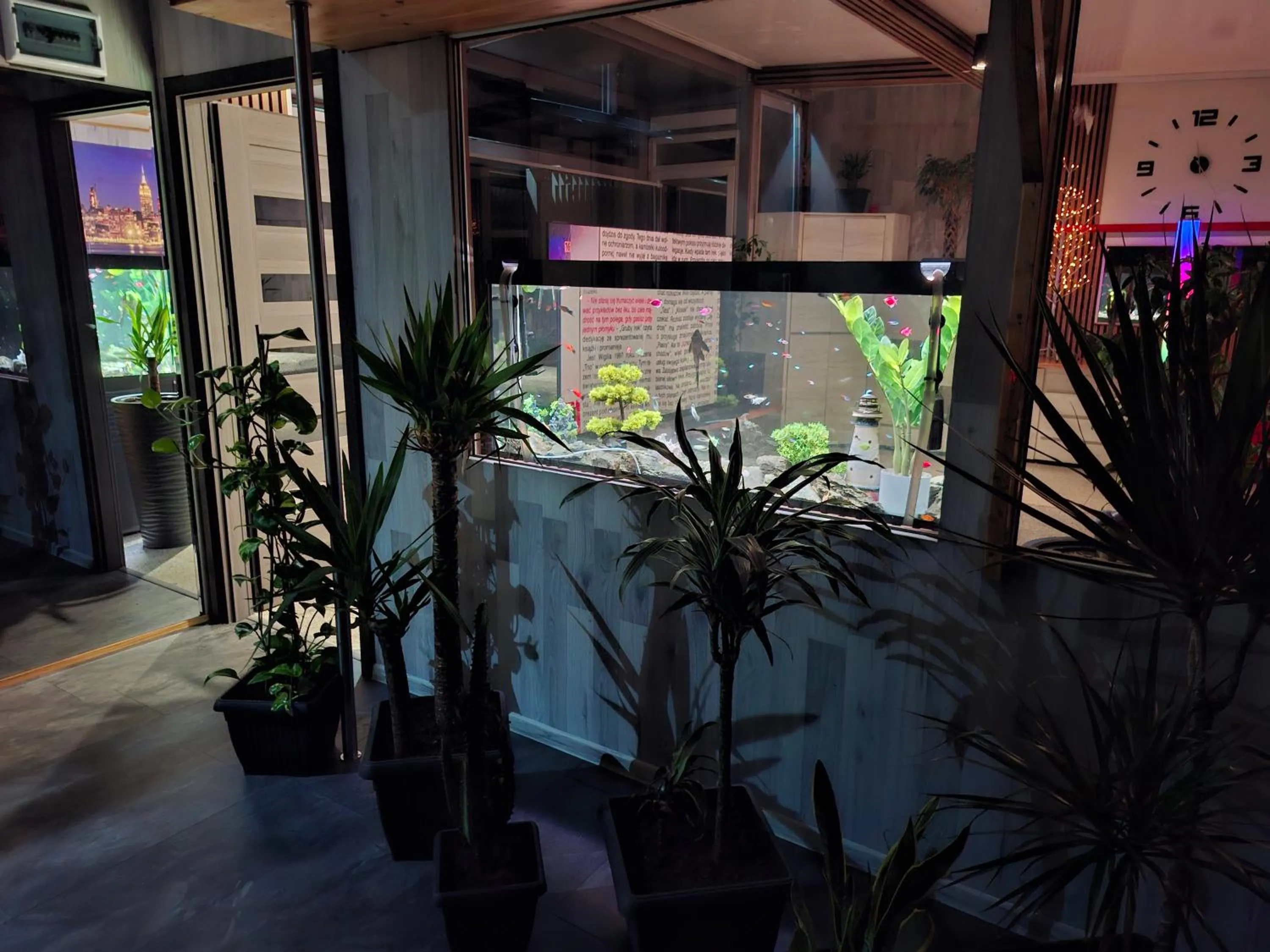 Garden view in Villa Vip pokoje,śniadanie,Apartament kinowy