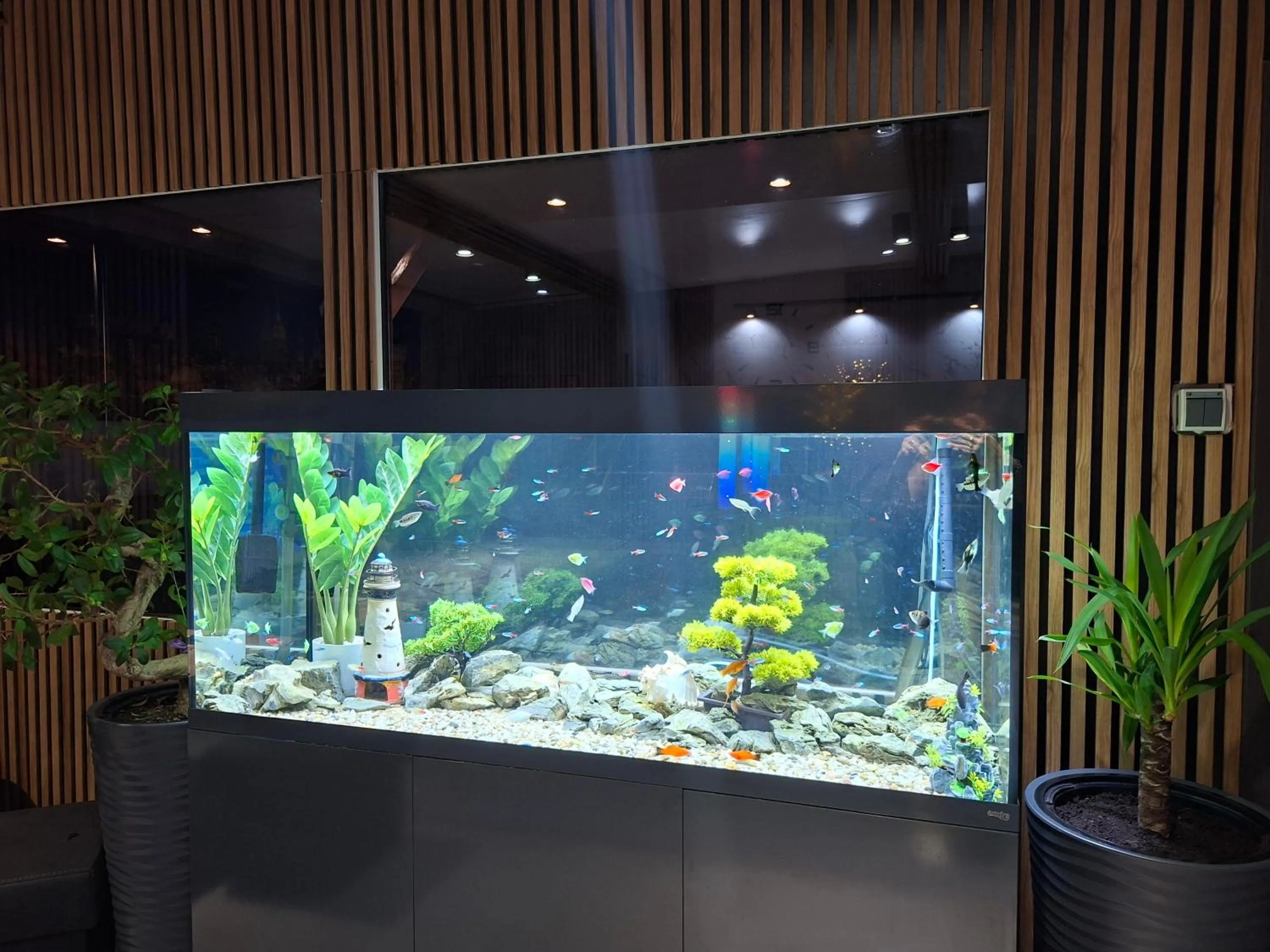 Natural landscape in Villa Vip pokoje,śniadanie,Apartament kinowy