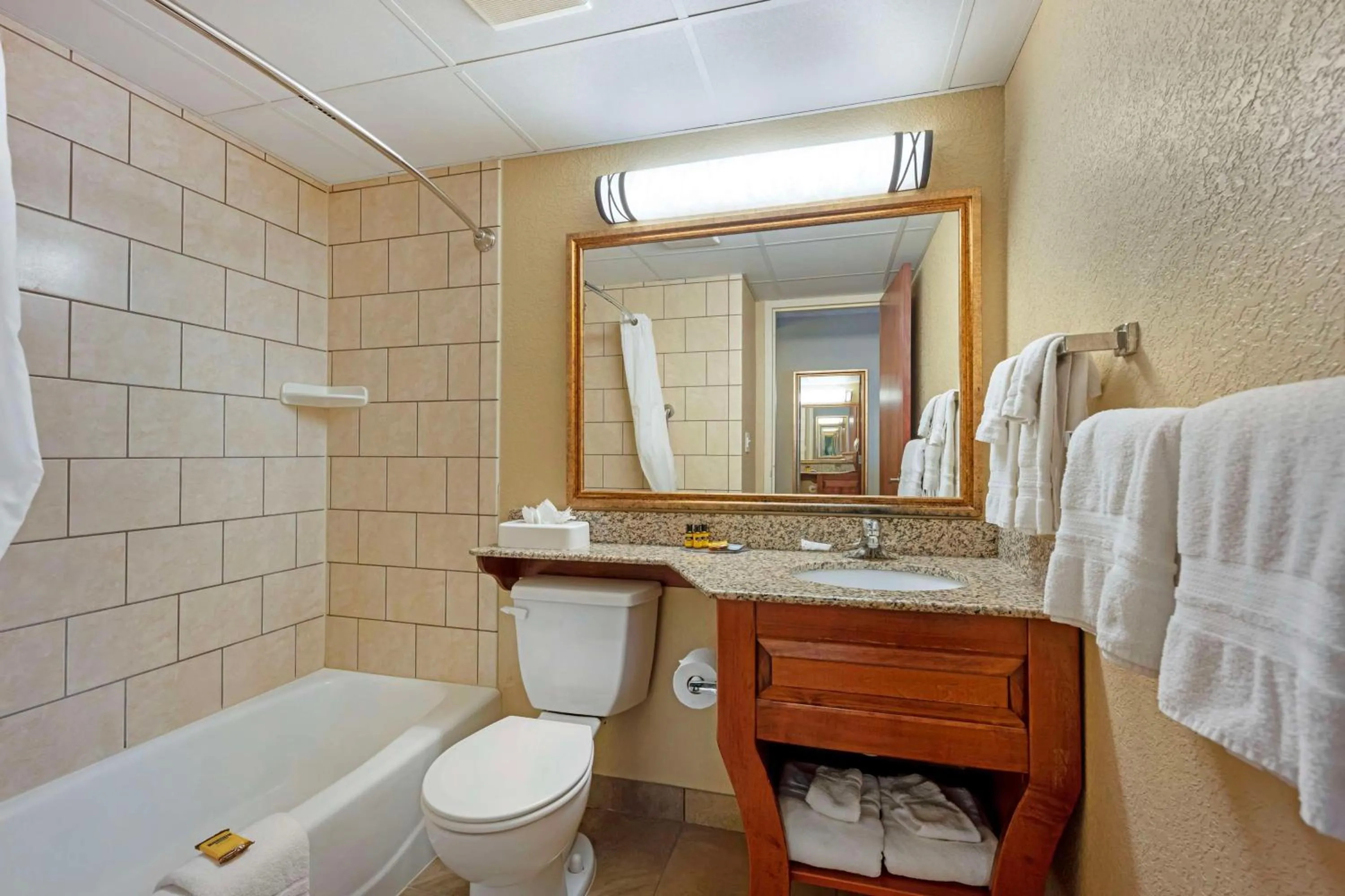 Bathroom in Best Western Plus Mid Nebraska Inn & Suites