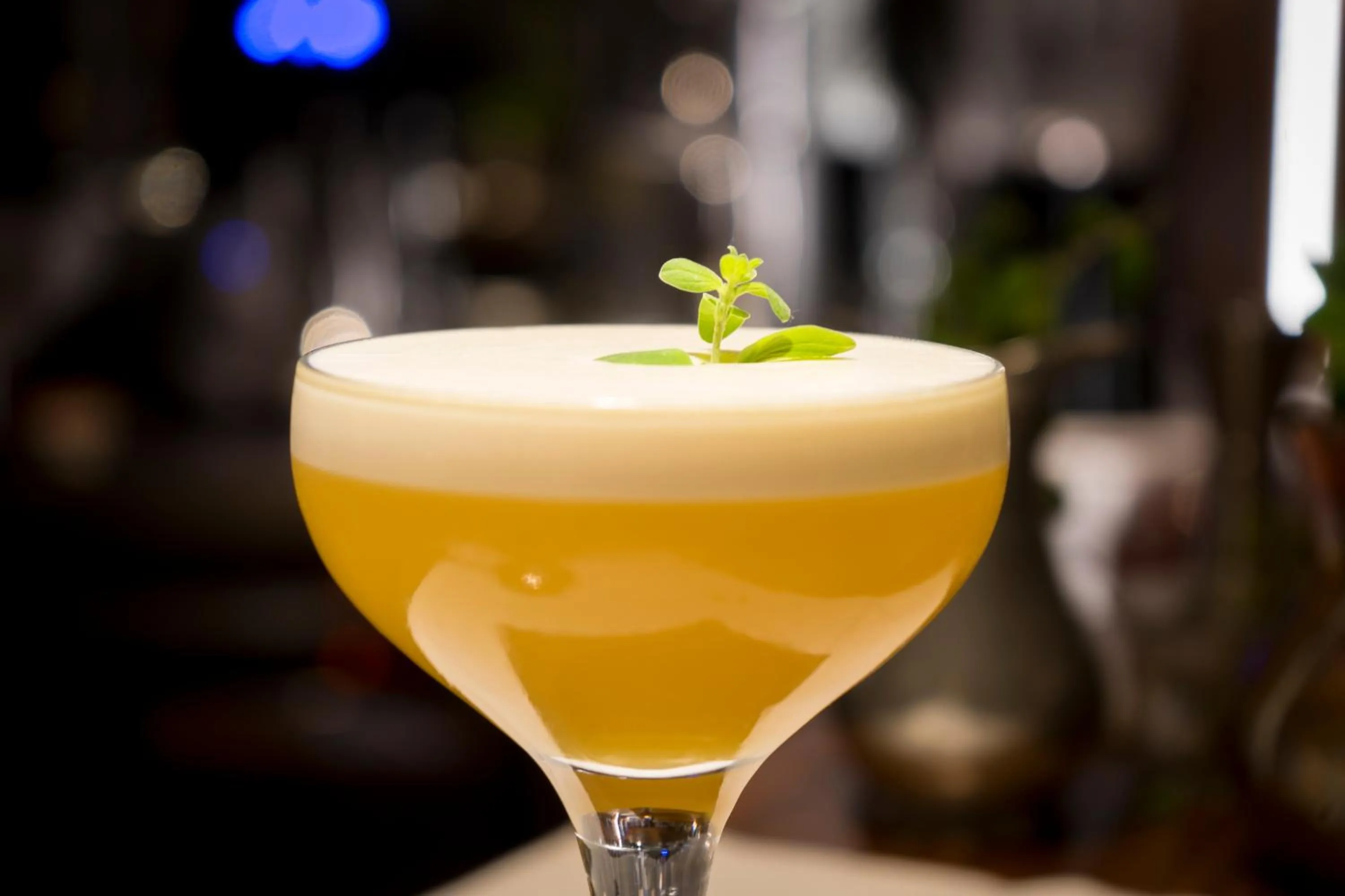 Alcoholic drinks in Hotel Starkenberg