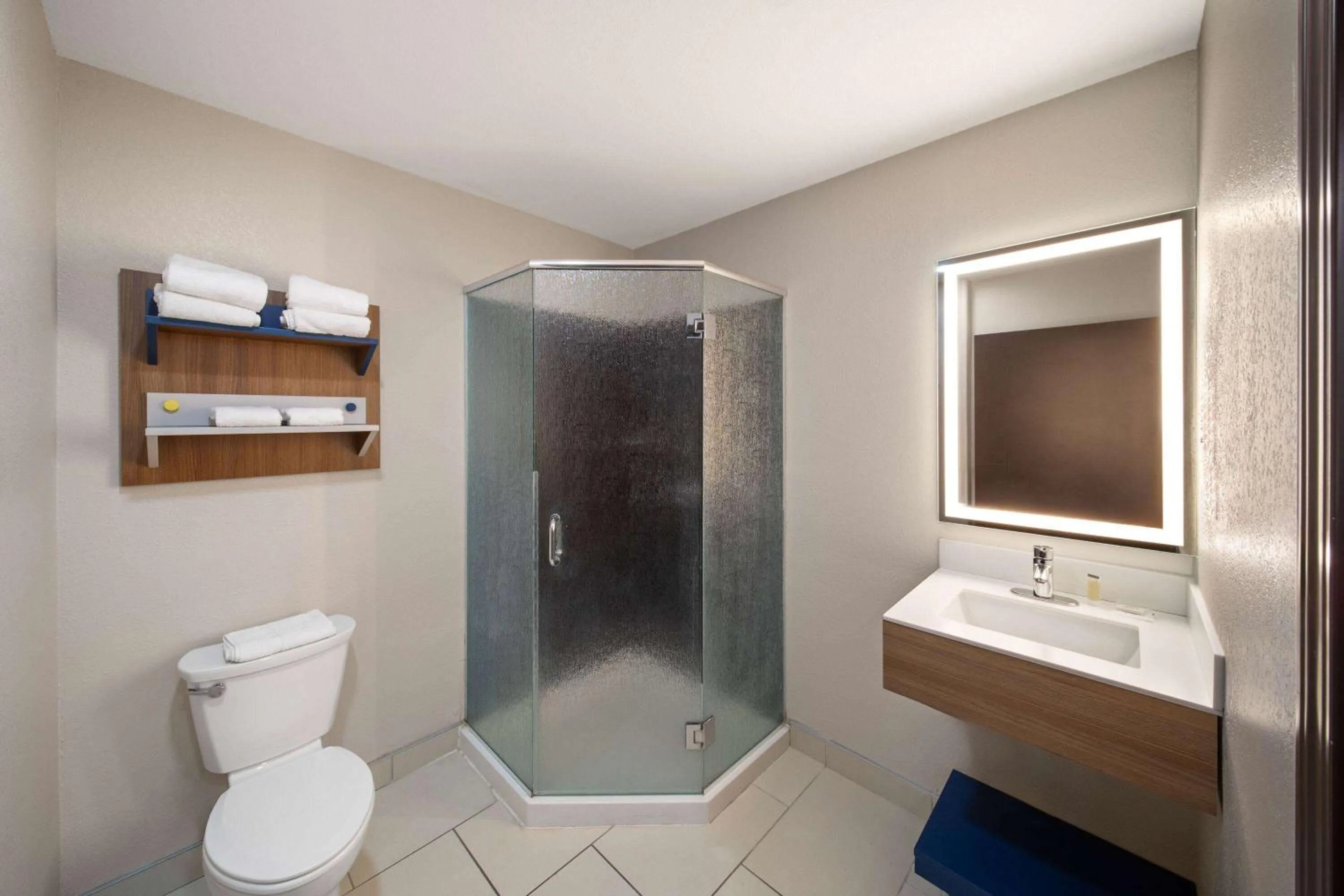Bathroom in Microtel Inn & Suites by Wyndham Buda Austin South