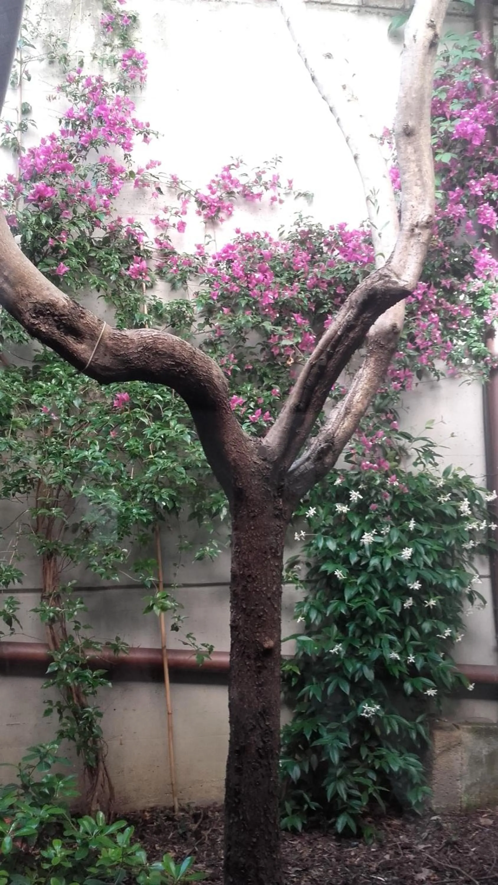 Restaurant/places to eat in Hotel I' Fiorino