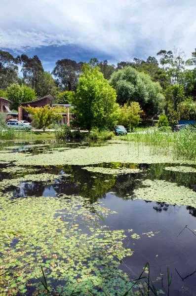 Natural landscape in Dreamers