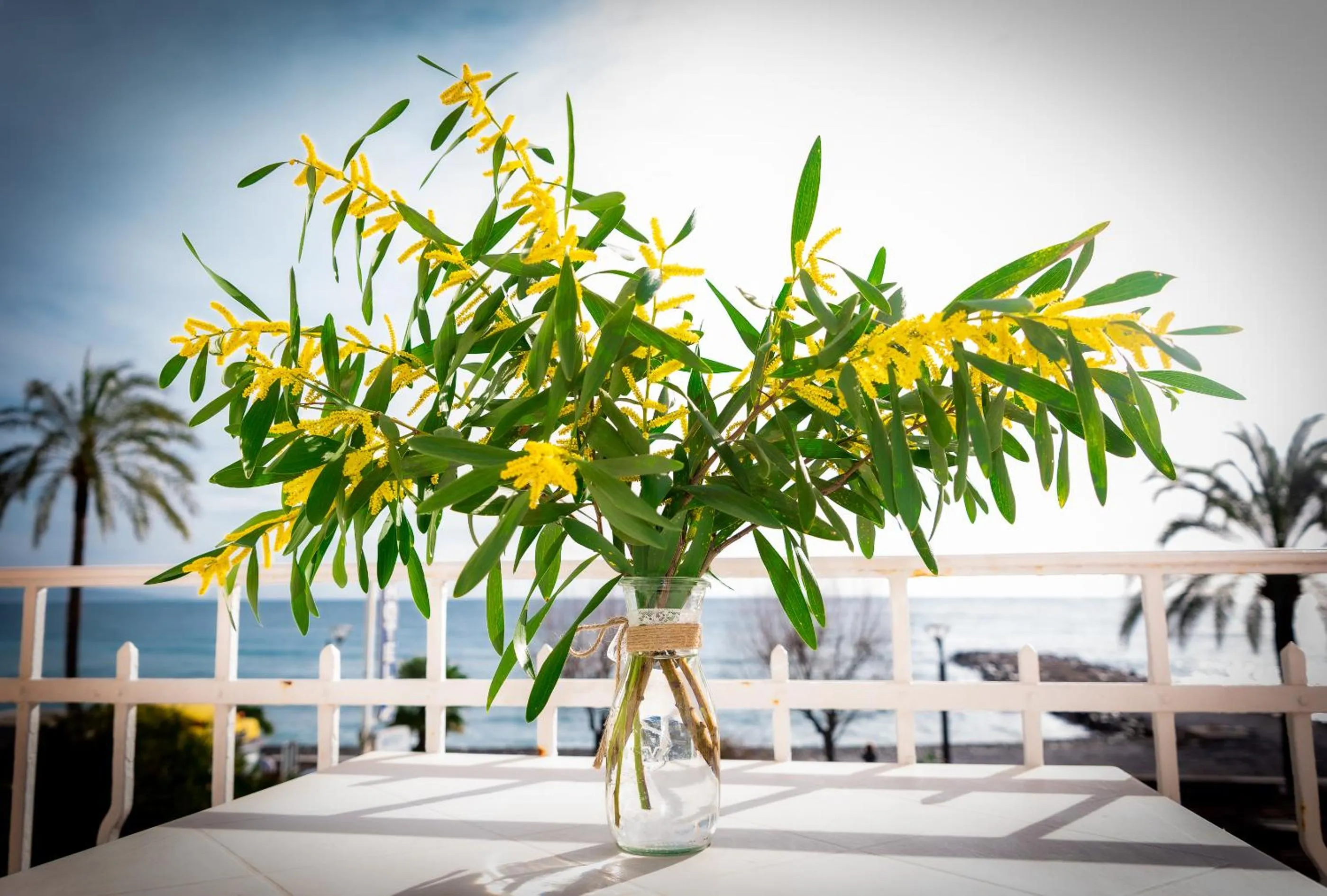 Hotel et Appartements Reine D'Azur