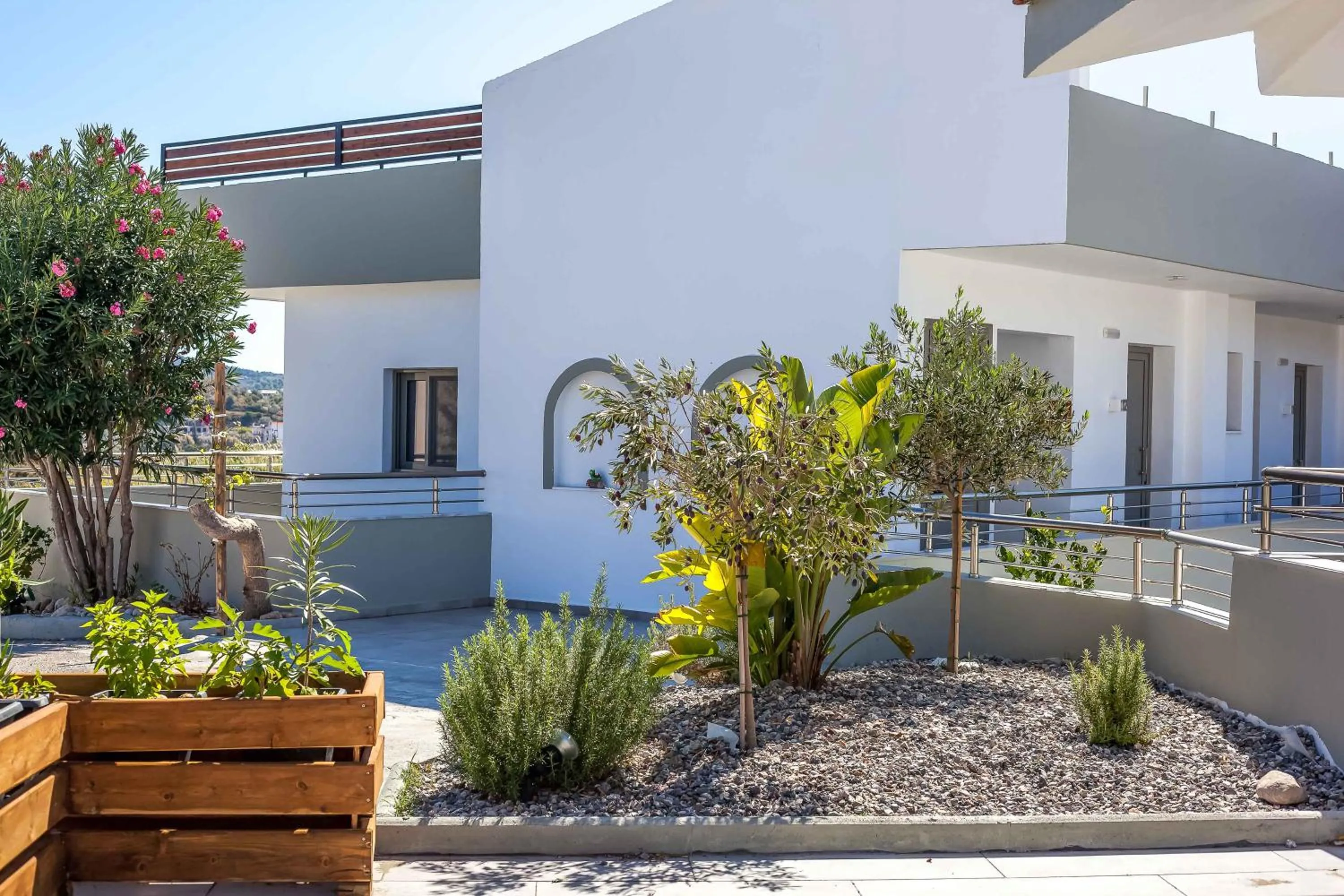 Garden in Hillside Studios & Apartments