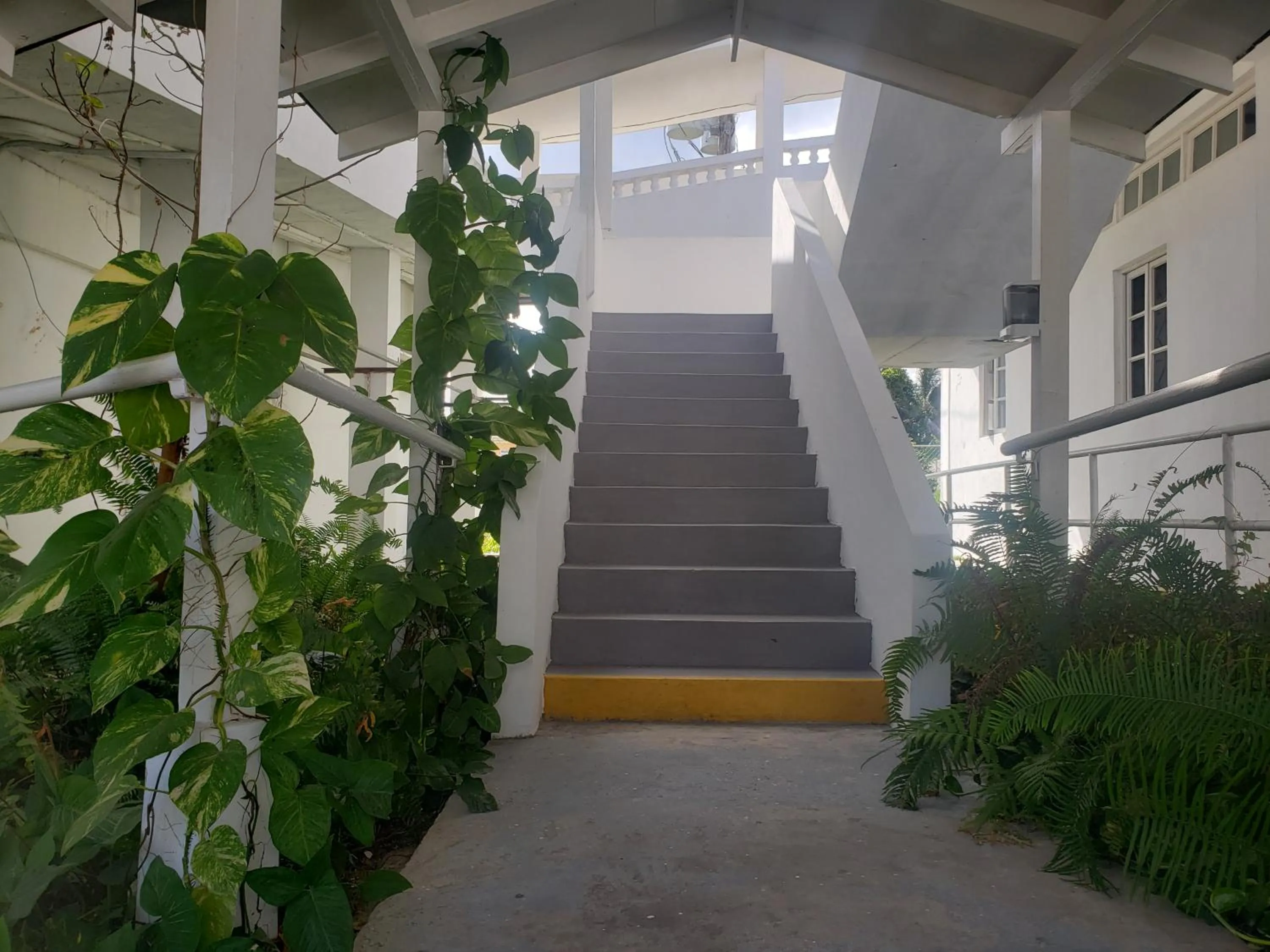Sea Shell Palms, Ocho Rios