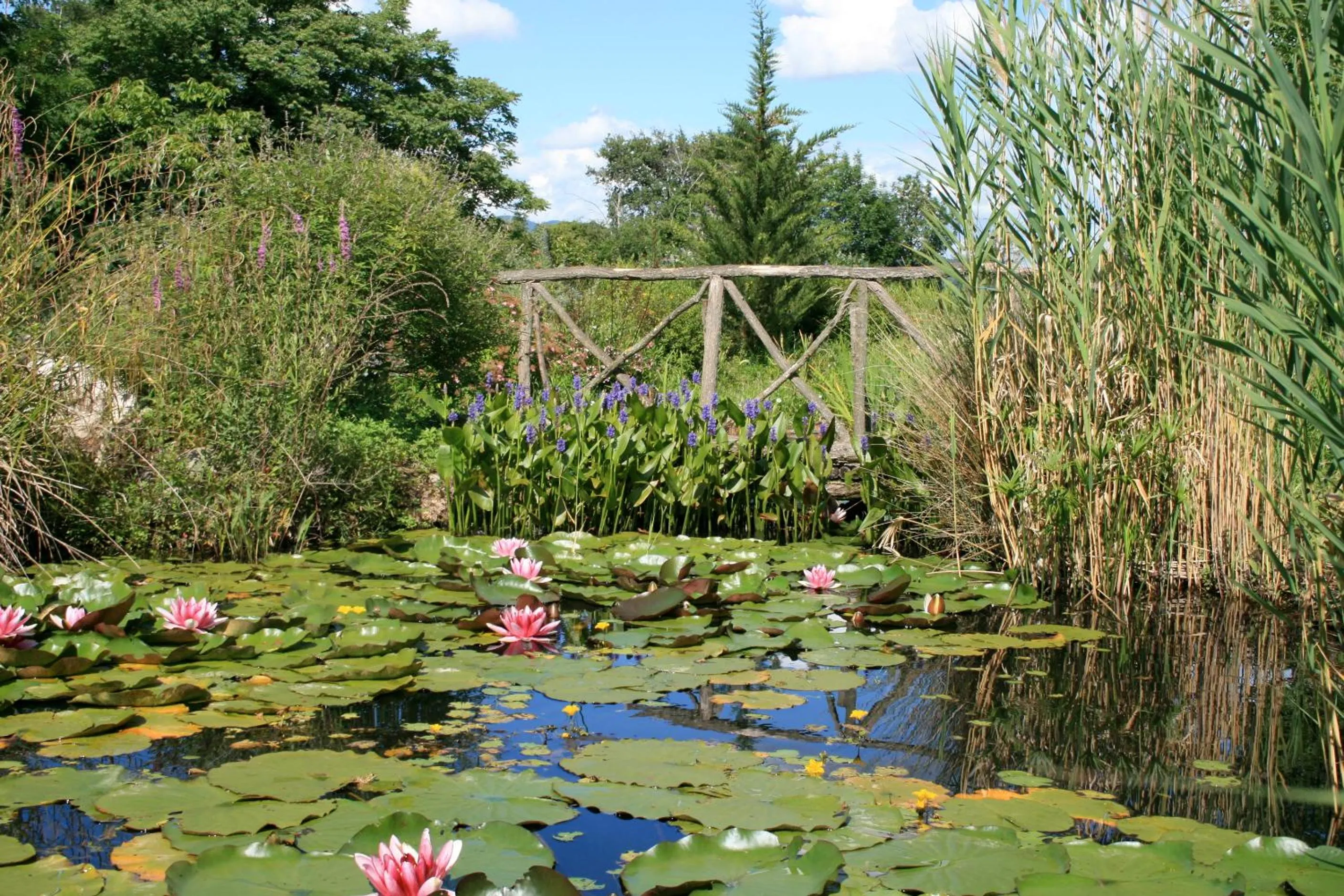 Garden in Auberge La Plaine