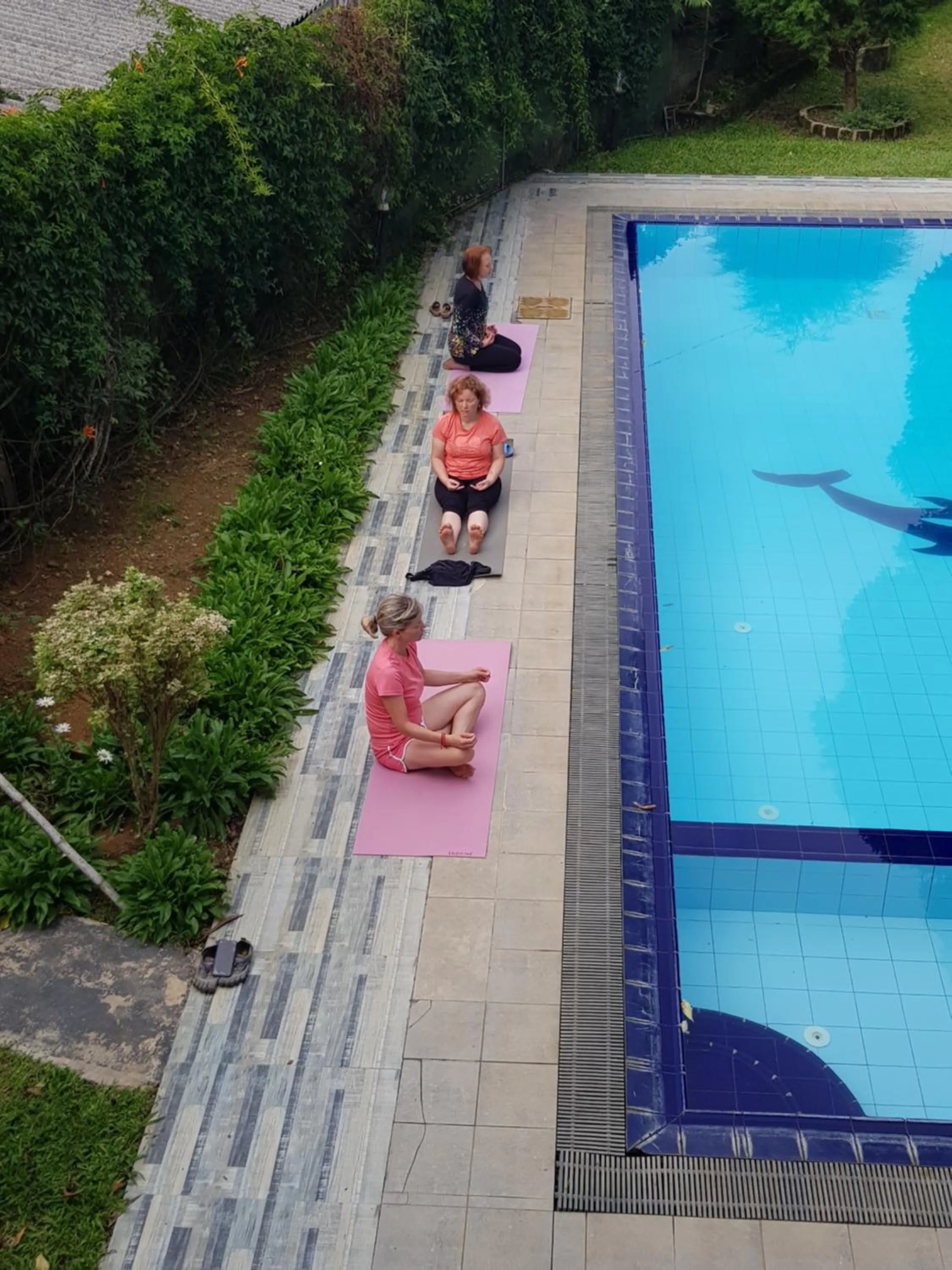 Swimming pool in Ella Forest Paradise Hotel