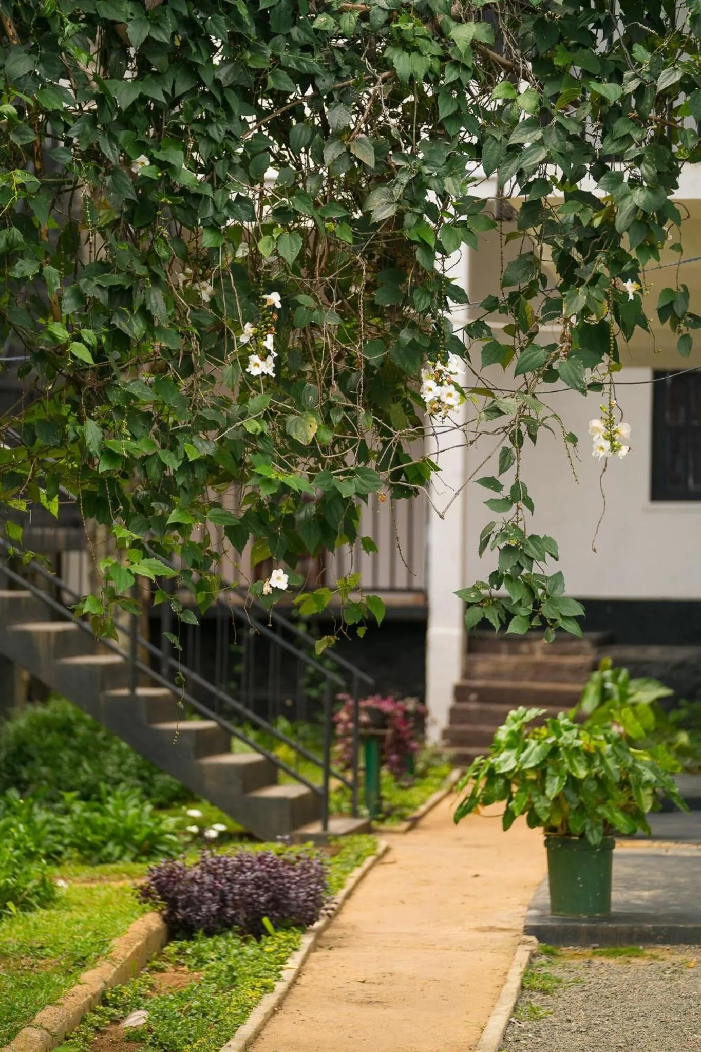 Garden view in Ella Forest Paradise Hotel