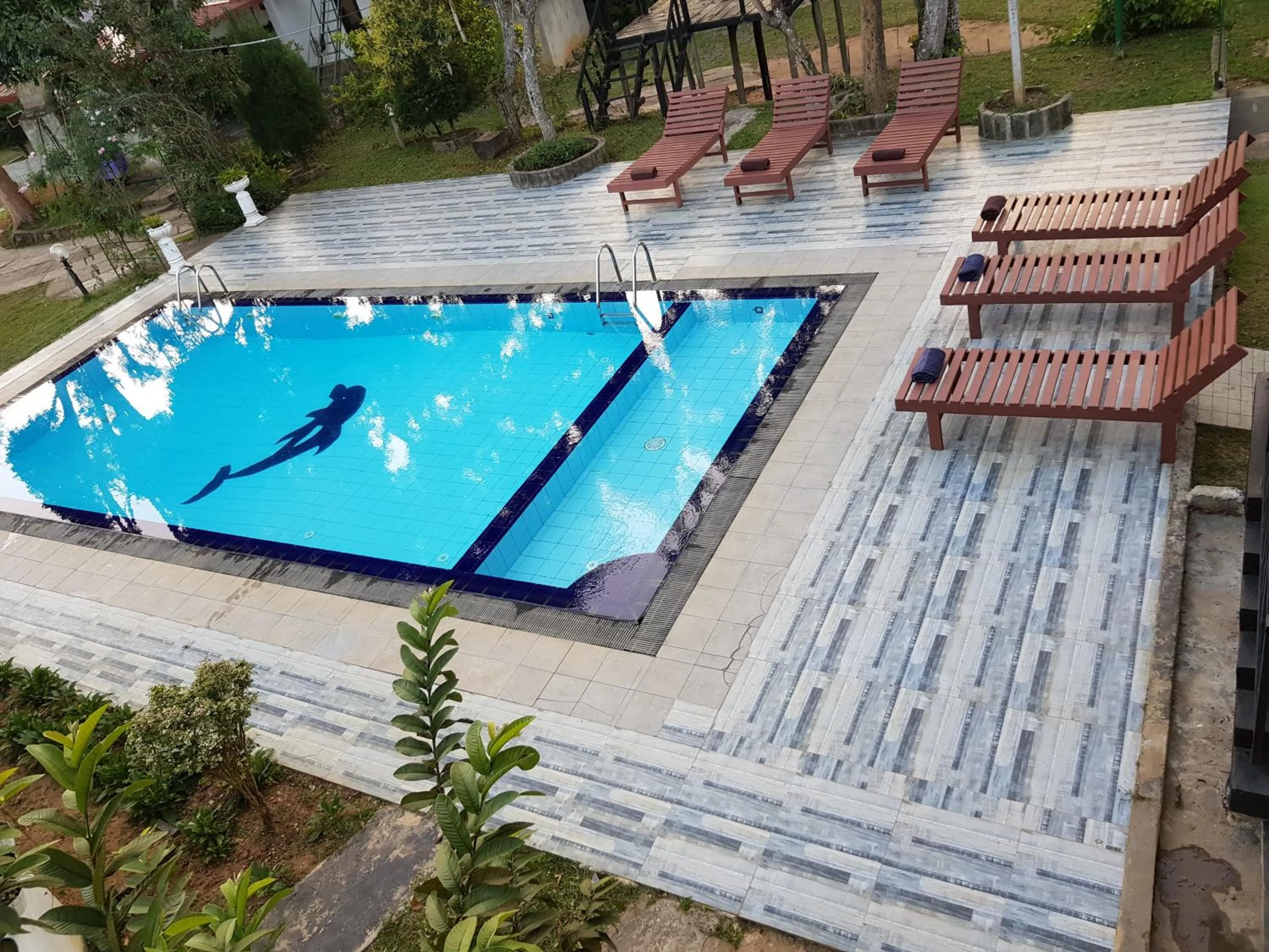 Swimming pool in Ella Forest Paradise Hotel