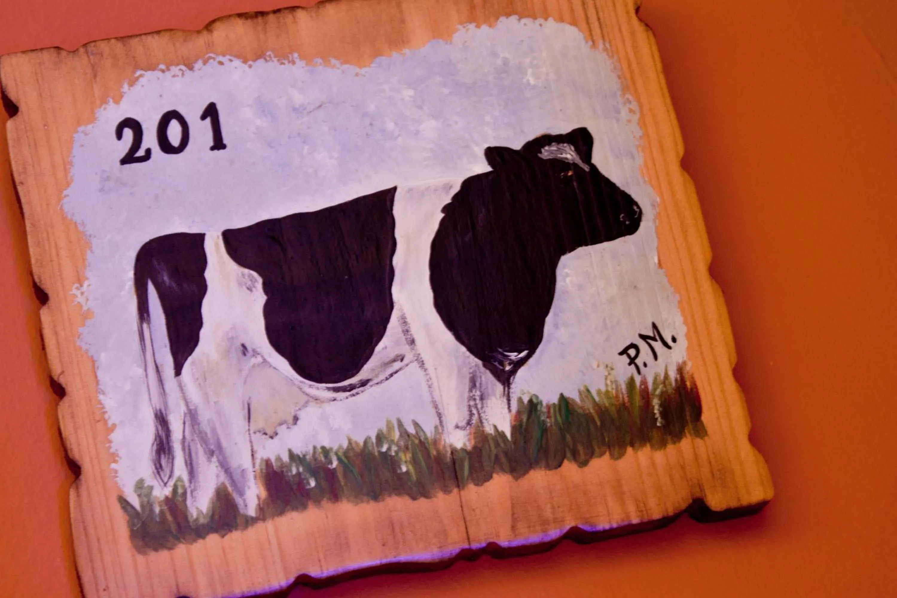 Decorative detail in Posada Camino de Altamira