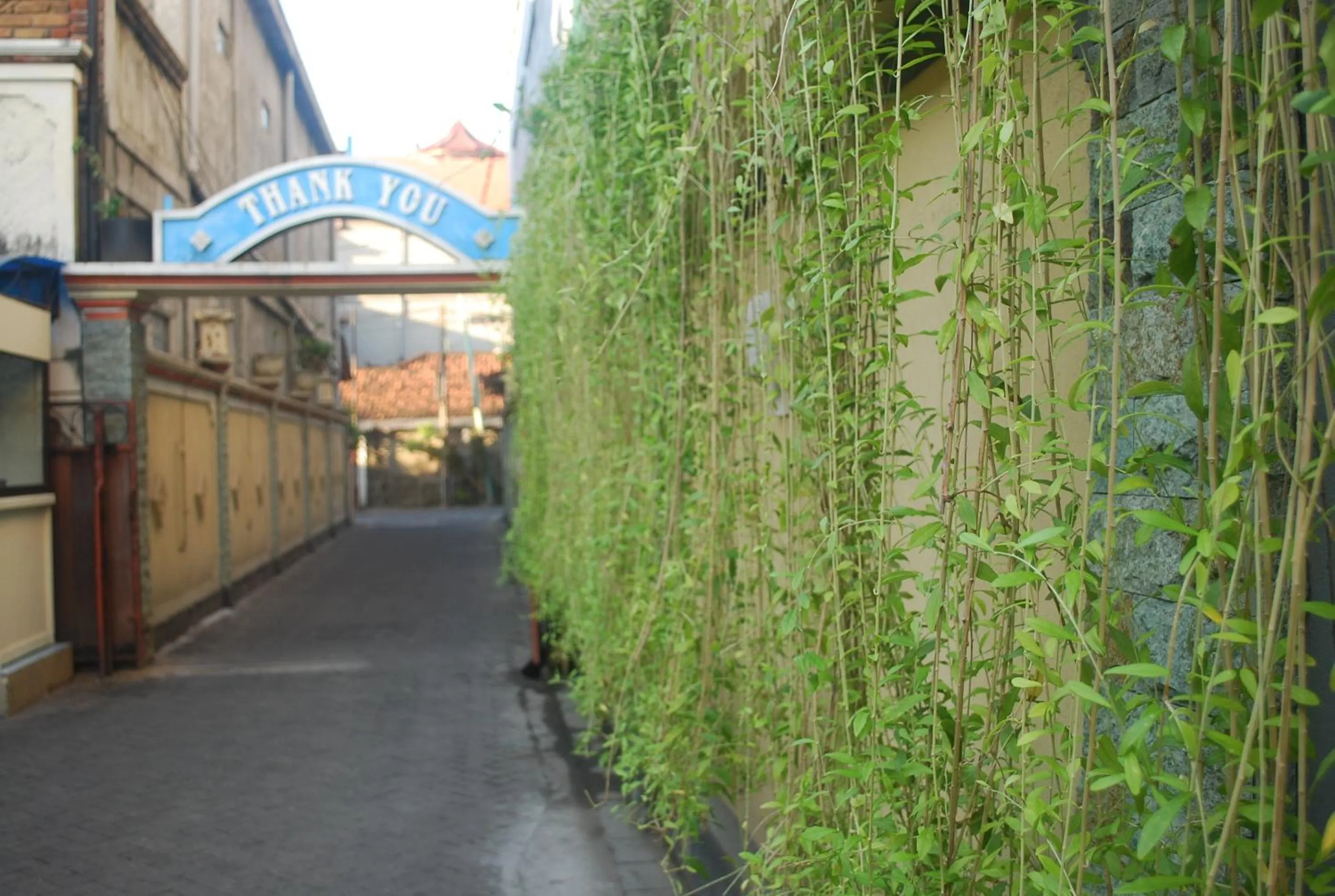 Facade/entrance in Hotel Sorga Cottages