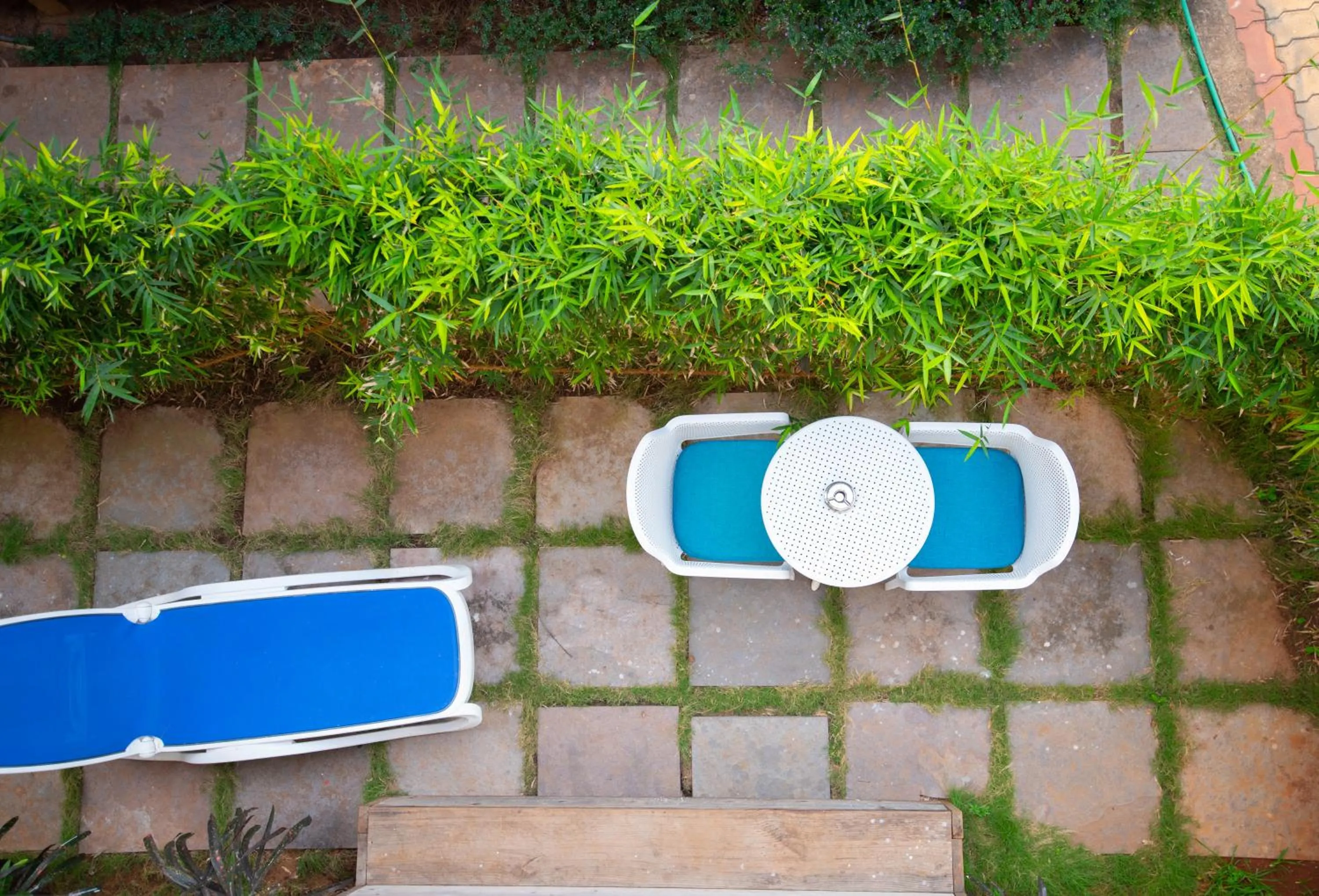 Garden in Living Room Beach Resort