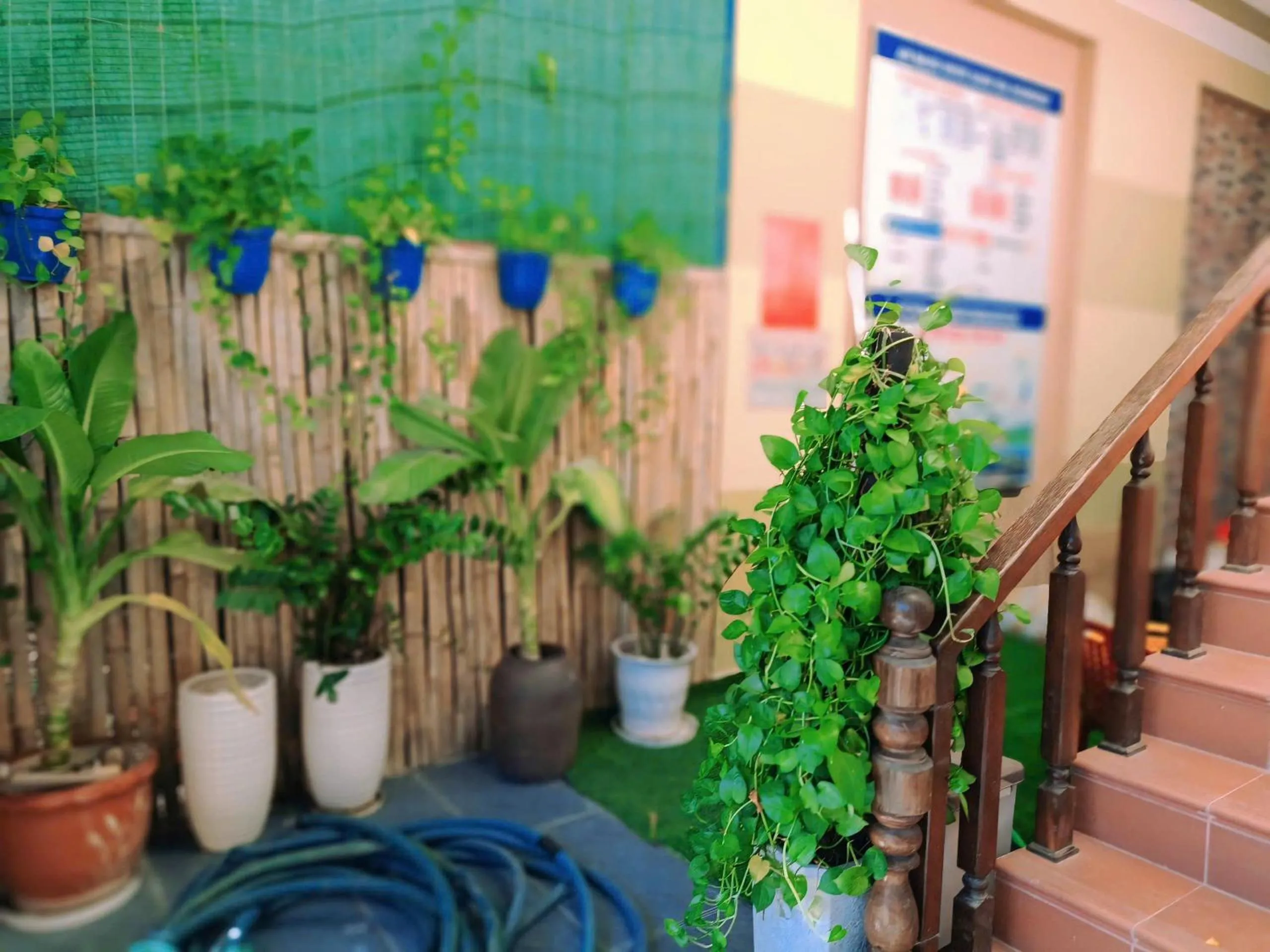 Garden in An Bang beach White Sand Sea Villa