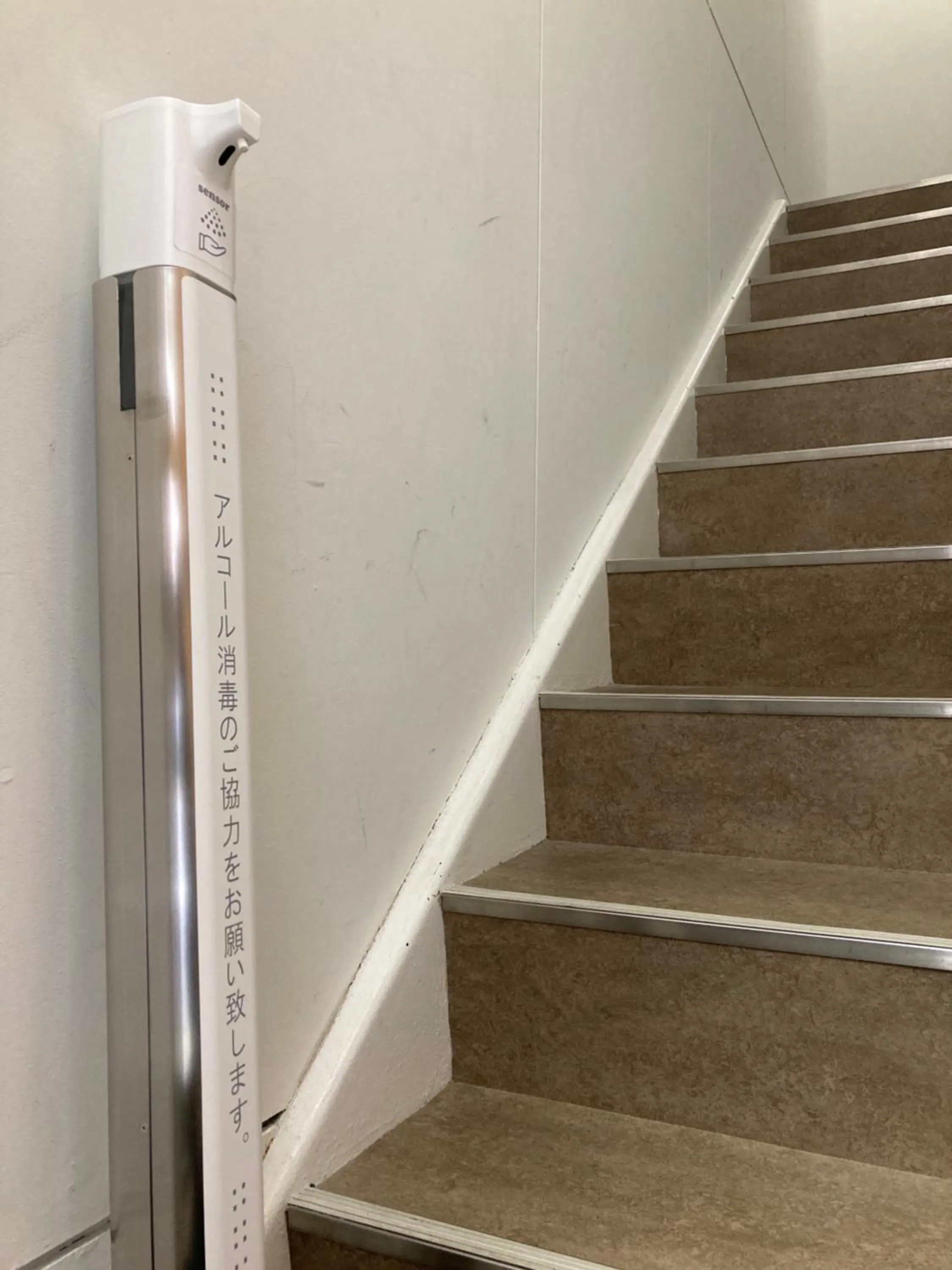 Area and facilities in Guesthouse Banvina