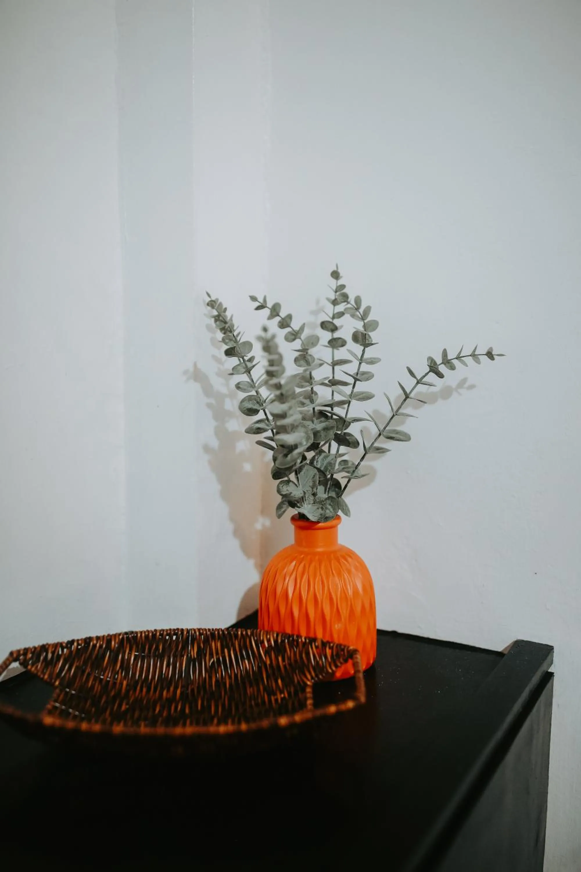 Decorative detail in Everyday Sunday Formerly Carl's Island Inn