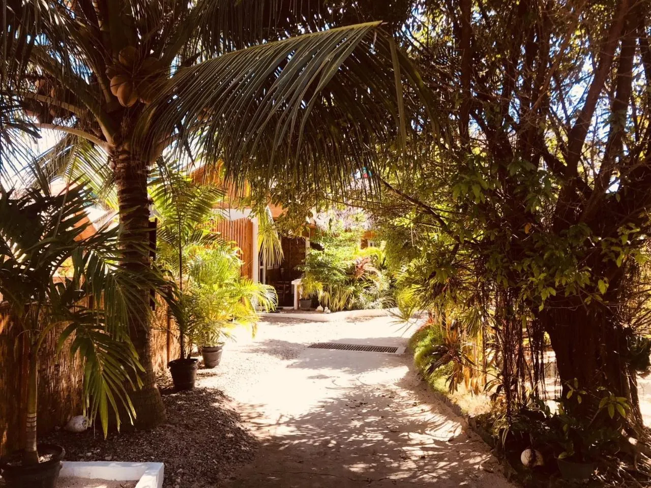 Property building in Everyday Sunday Formerly Carl's Island Inn