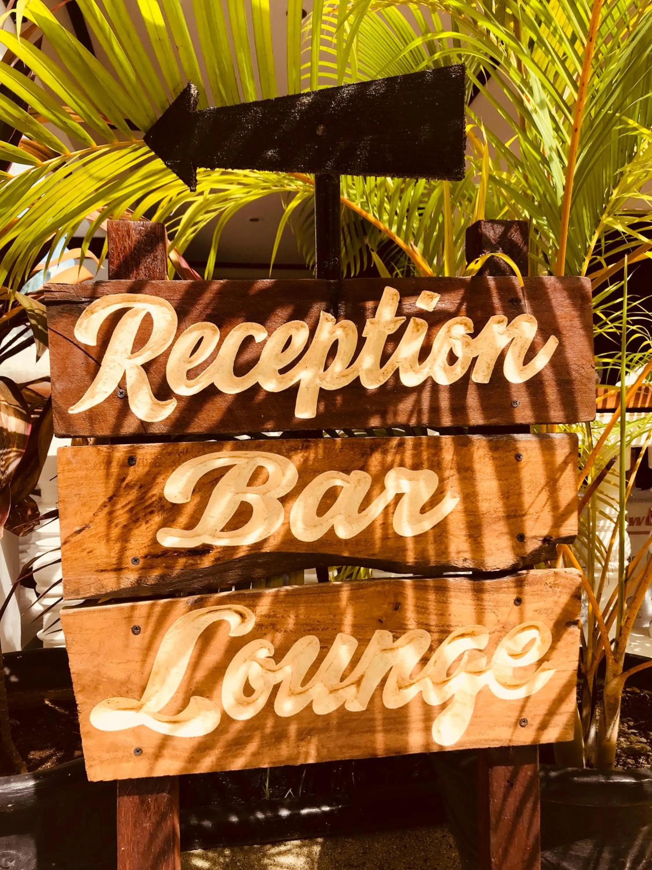 Decorative detail in Everyday Sunday Formerly Carl's Island Inn