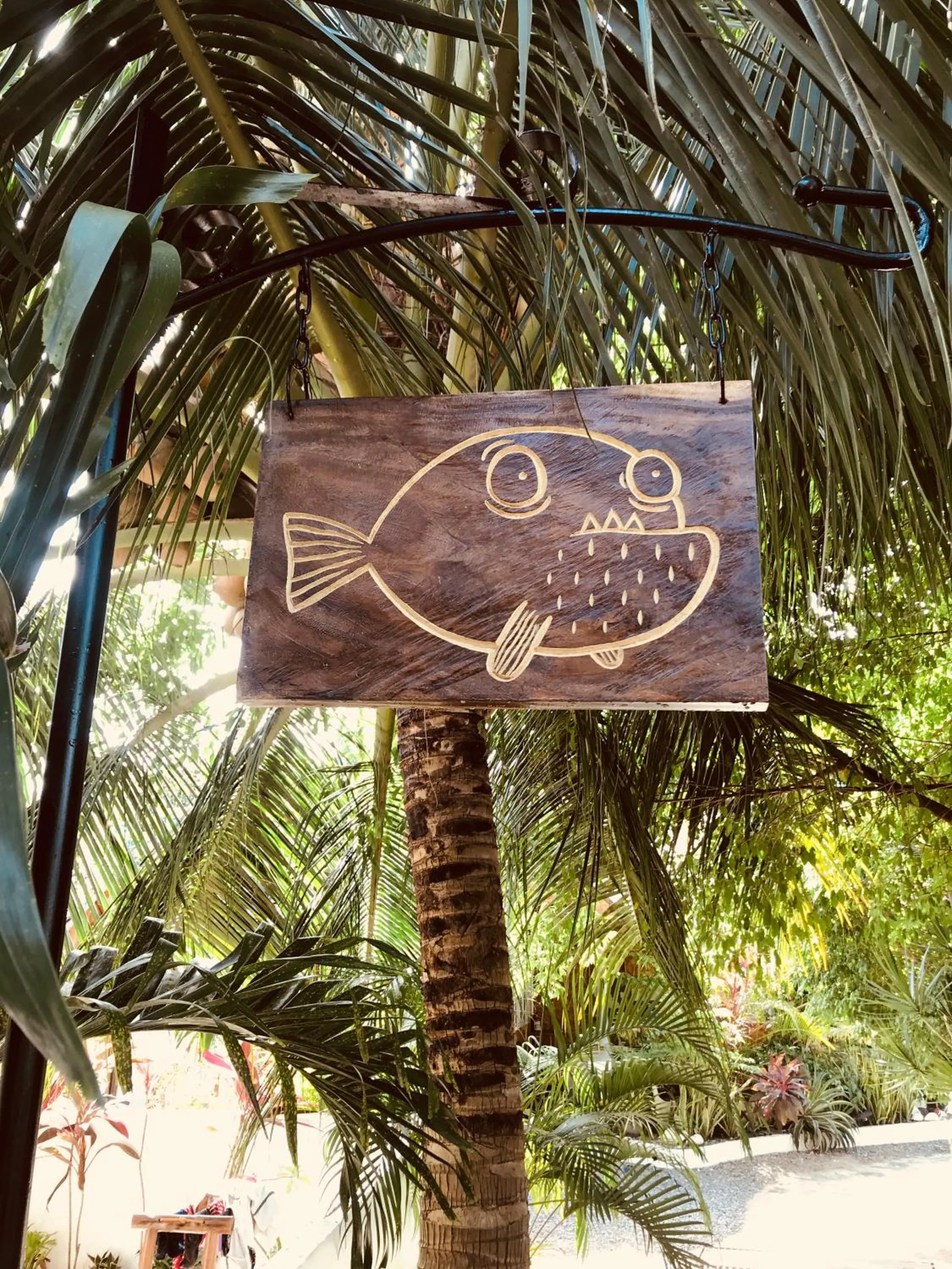 Garden in Everyday Sunday Formerly Carl's Island Inn