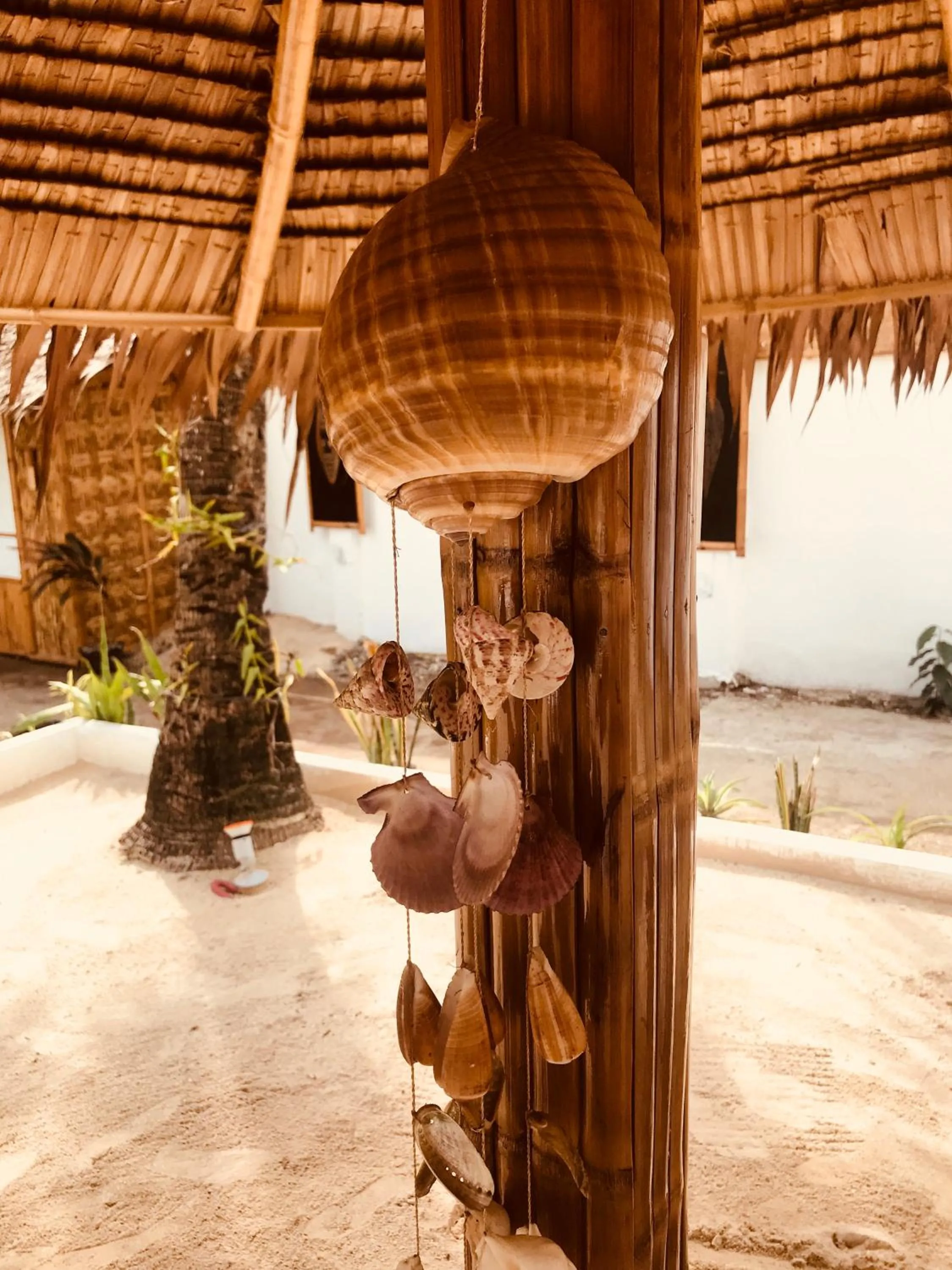 Area and facilities in Everyday Sunday Formerly Carl's Island Inn