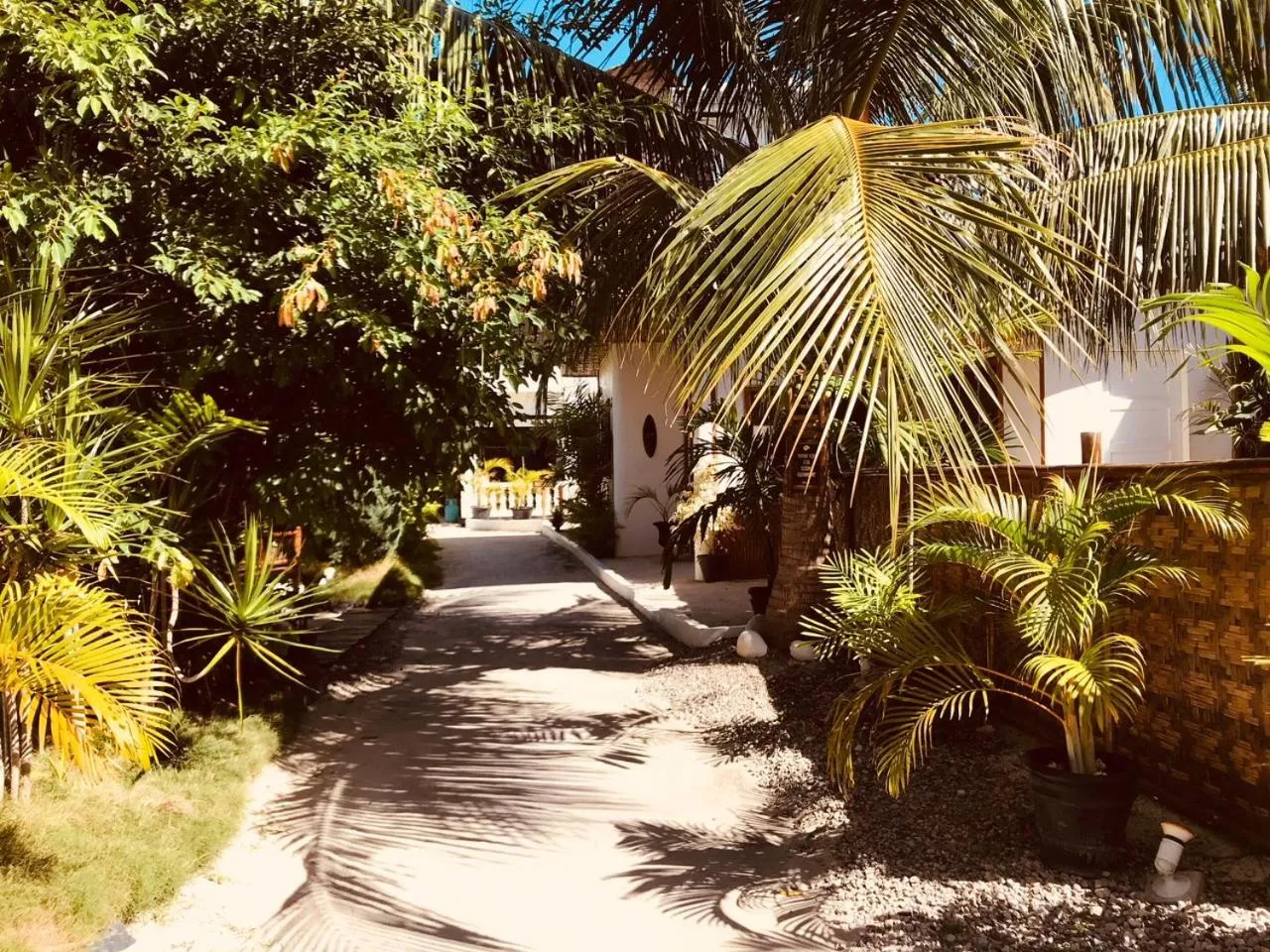 Garden view in Everyday Sunday Formerly Carl's Island Inn