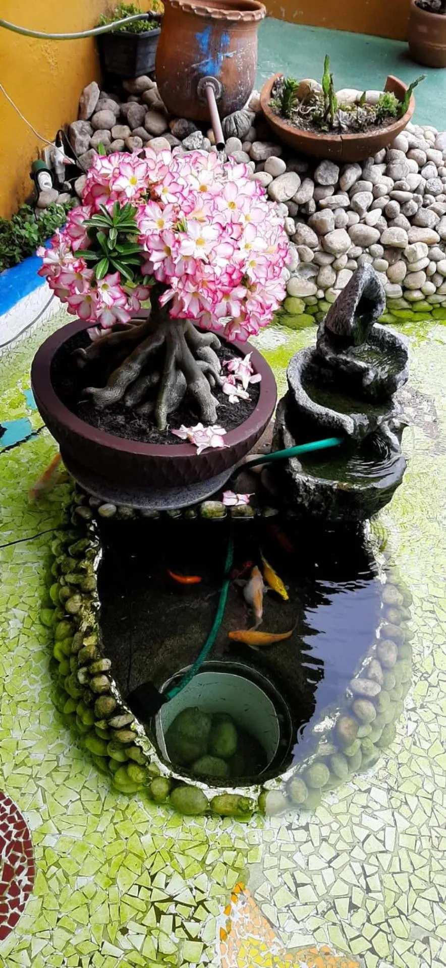 Decorative detail in Pousada A Flor da Terra