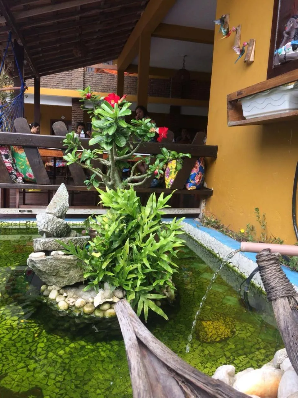 Garden in Pousada A Flor da Terra