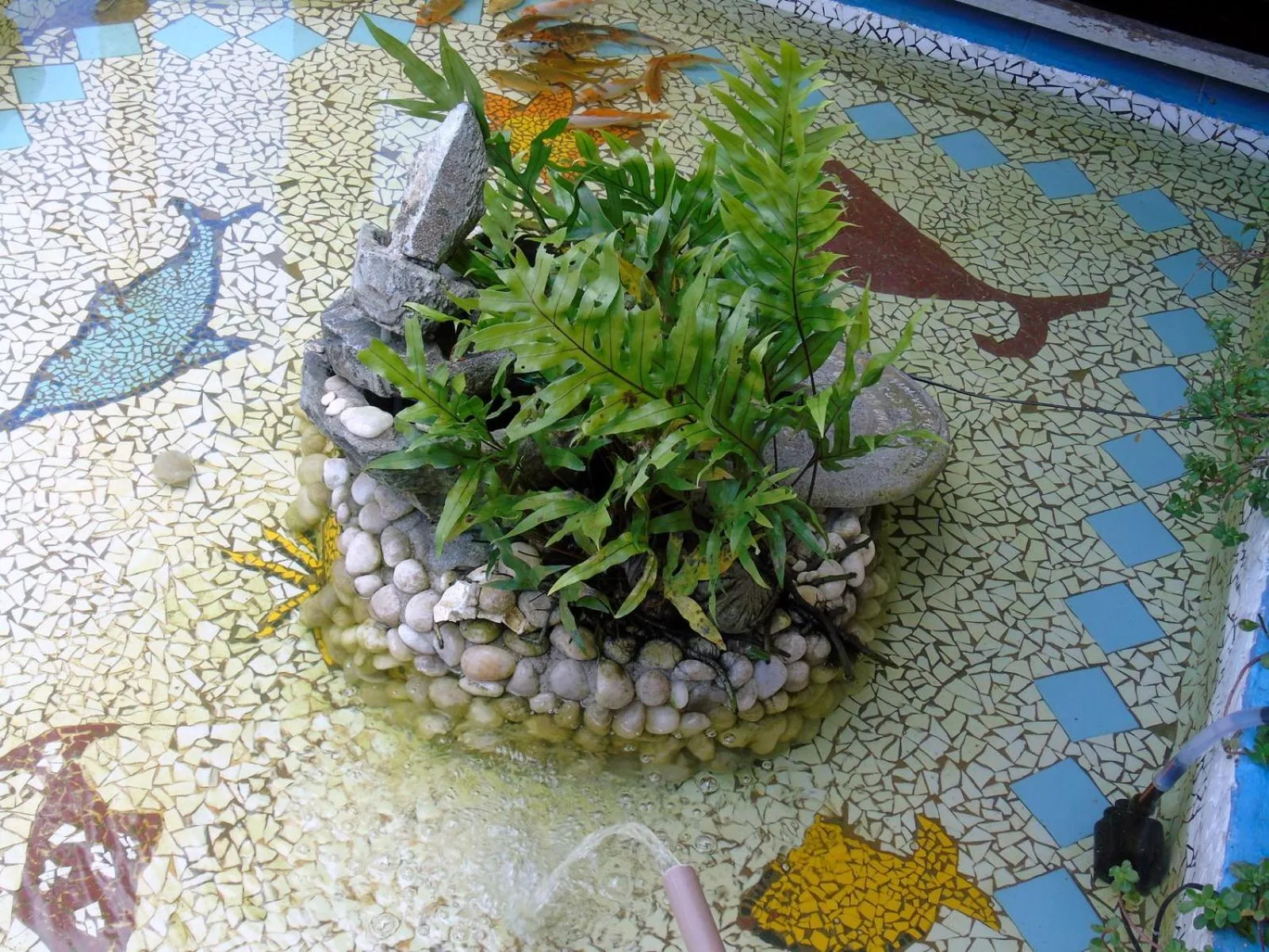 Garden in Pousada A Flor da Terra