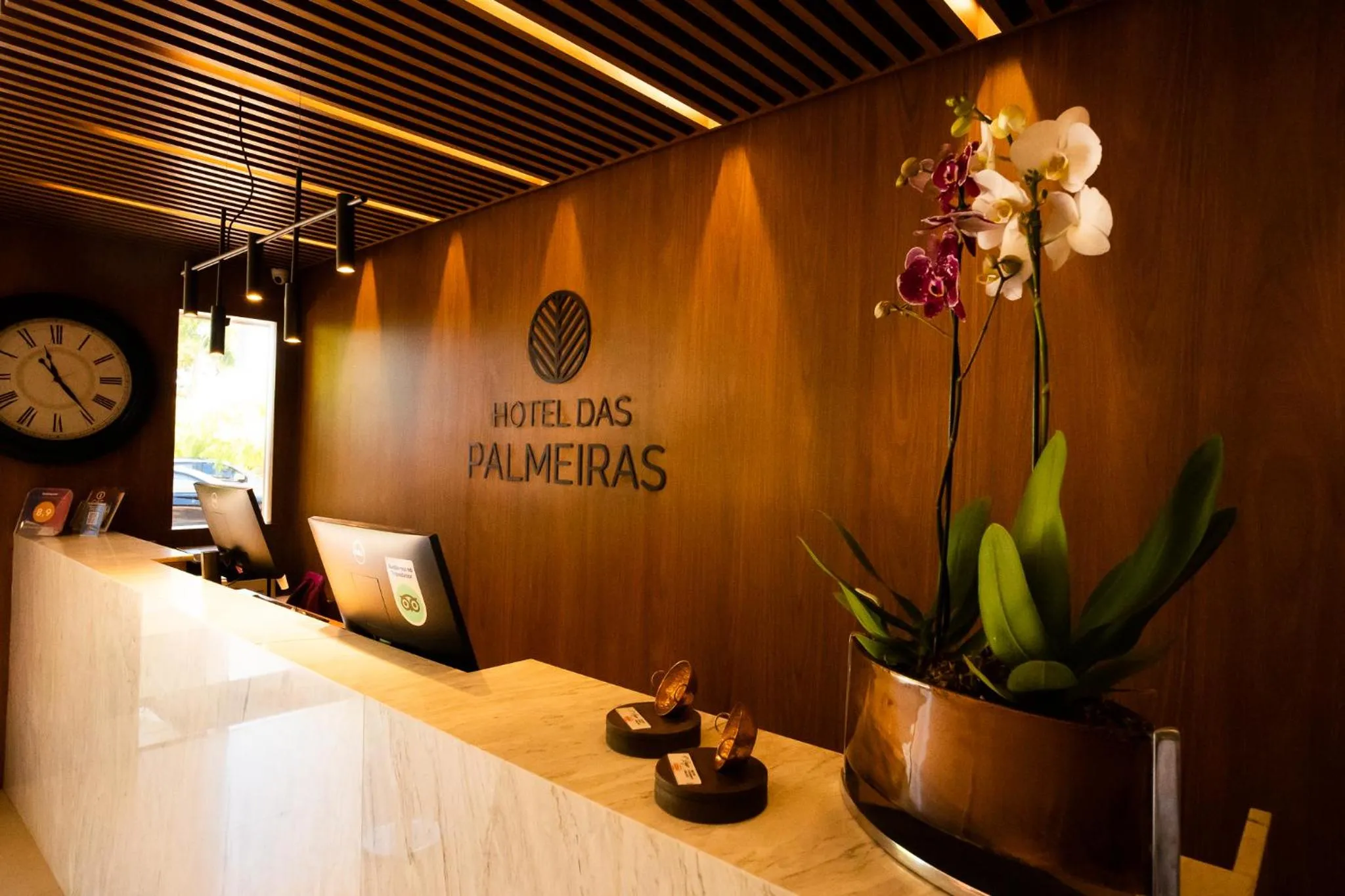 Hotel das Palmeiras