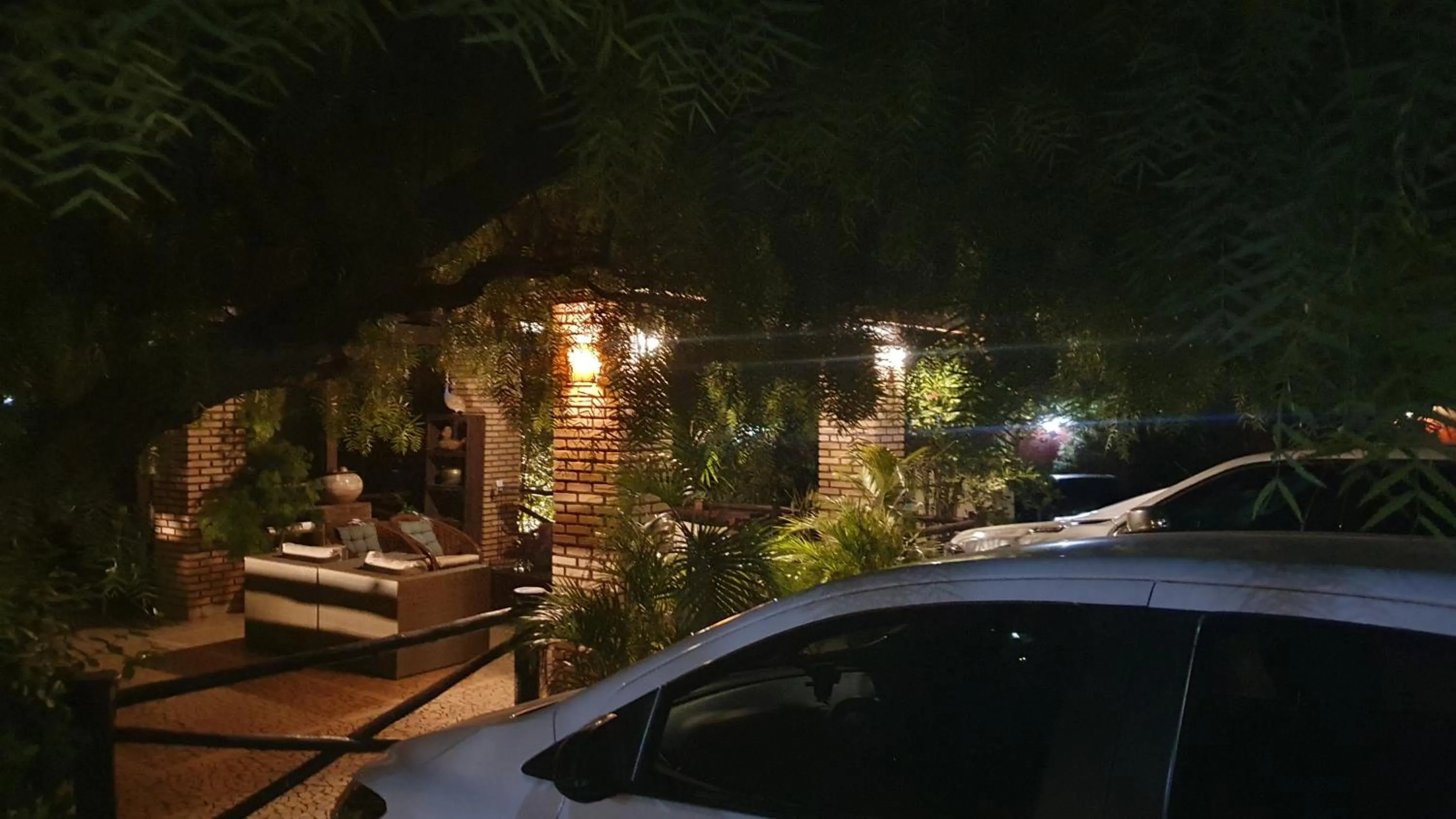 Area and facilities in Hotel das Palmeiras