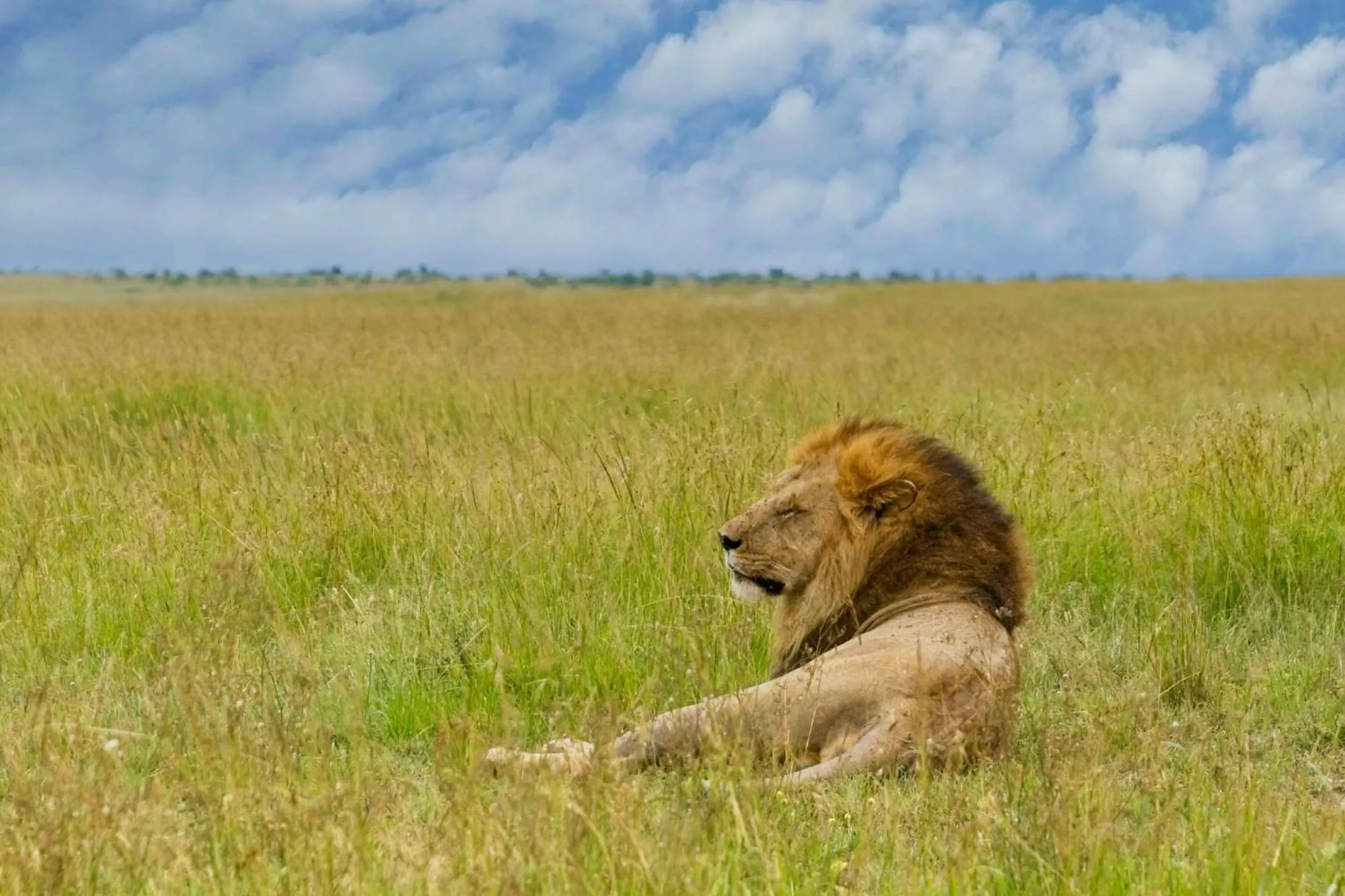 Day in Muthu Keekorok Lodge, Maasai Mara, Narok